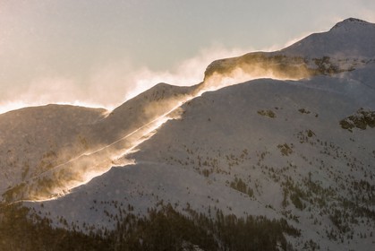 Auron
