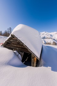 Auron