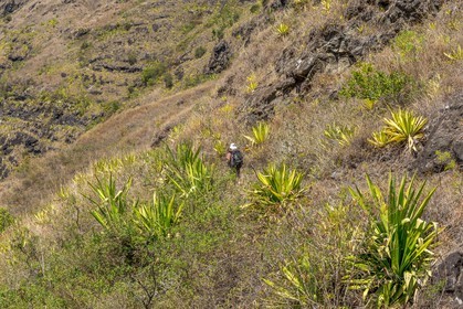 Ile de La Réunion