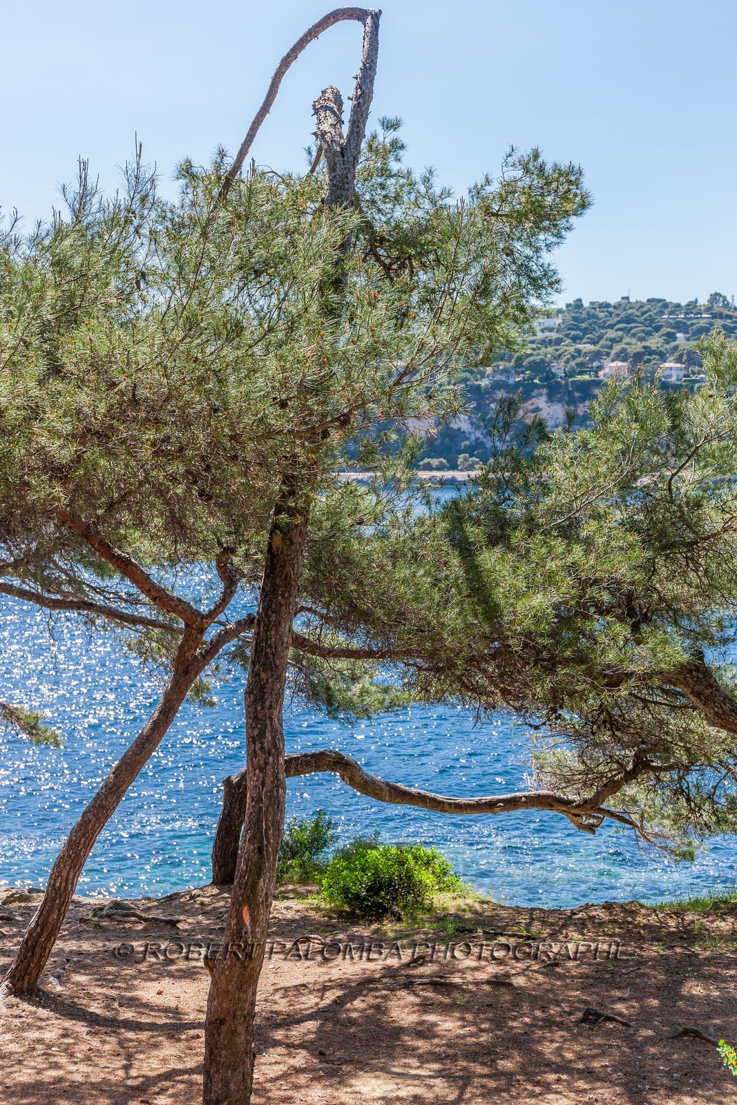 .Saint-Jean-Cap-Ferrat