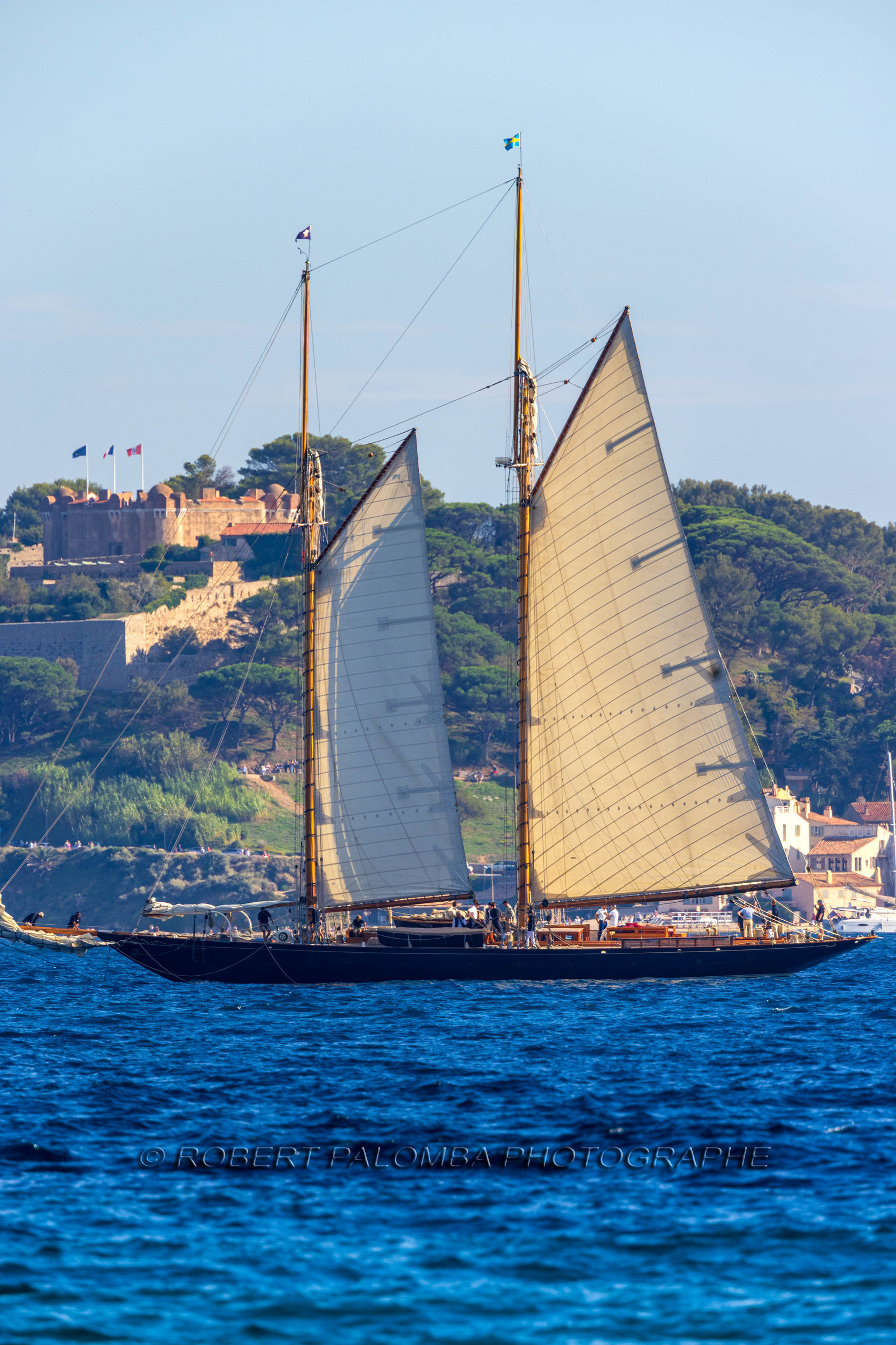 Les Voiles de Saint-Tropez