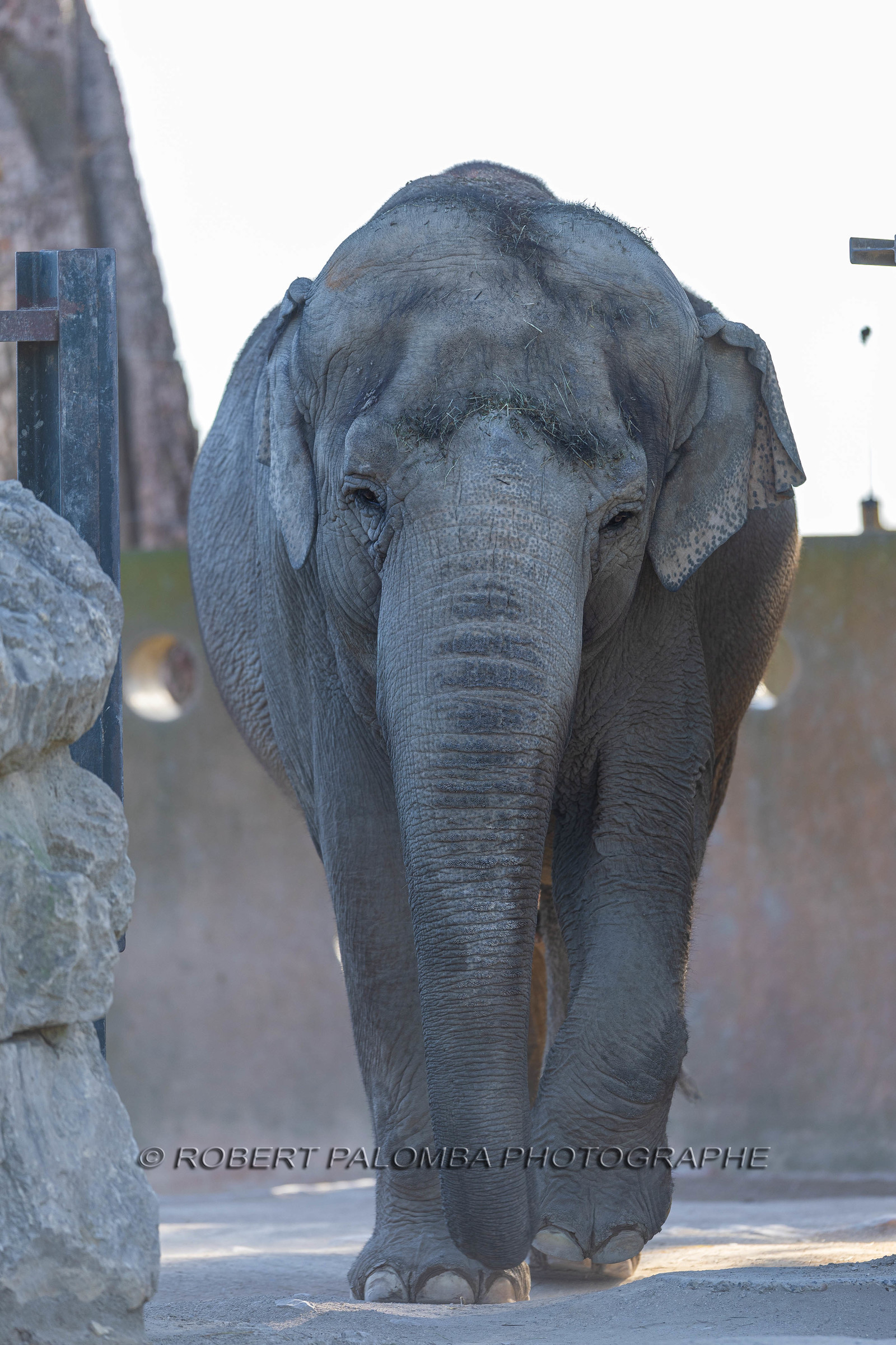 Parc animalier de la Barben