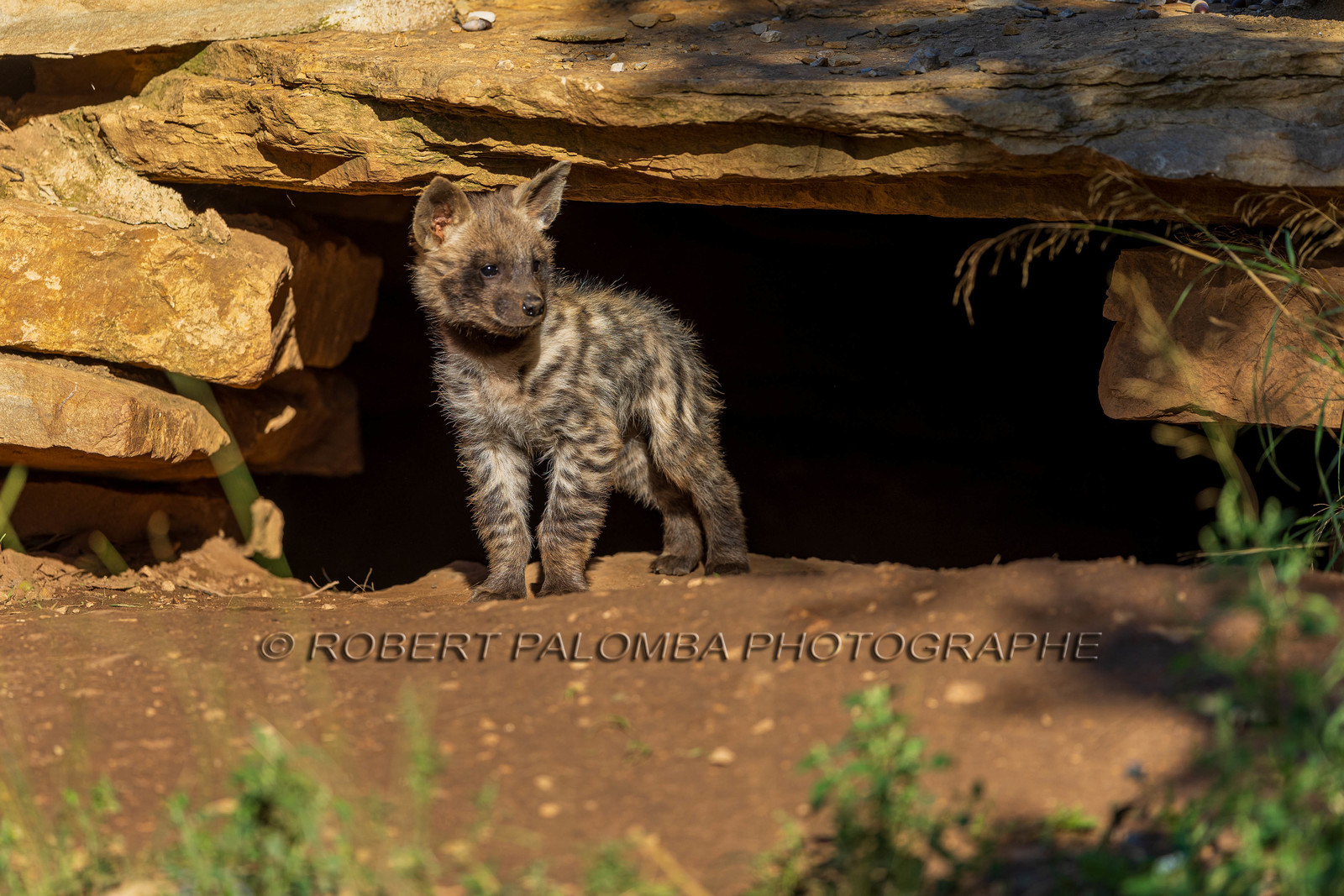 Parc animalier de la Barben