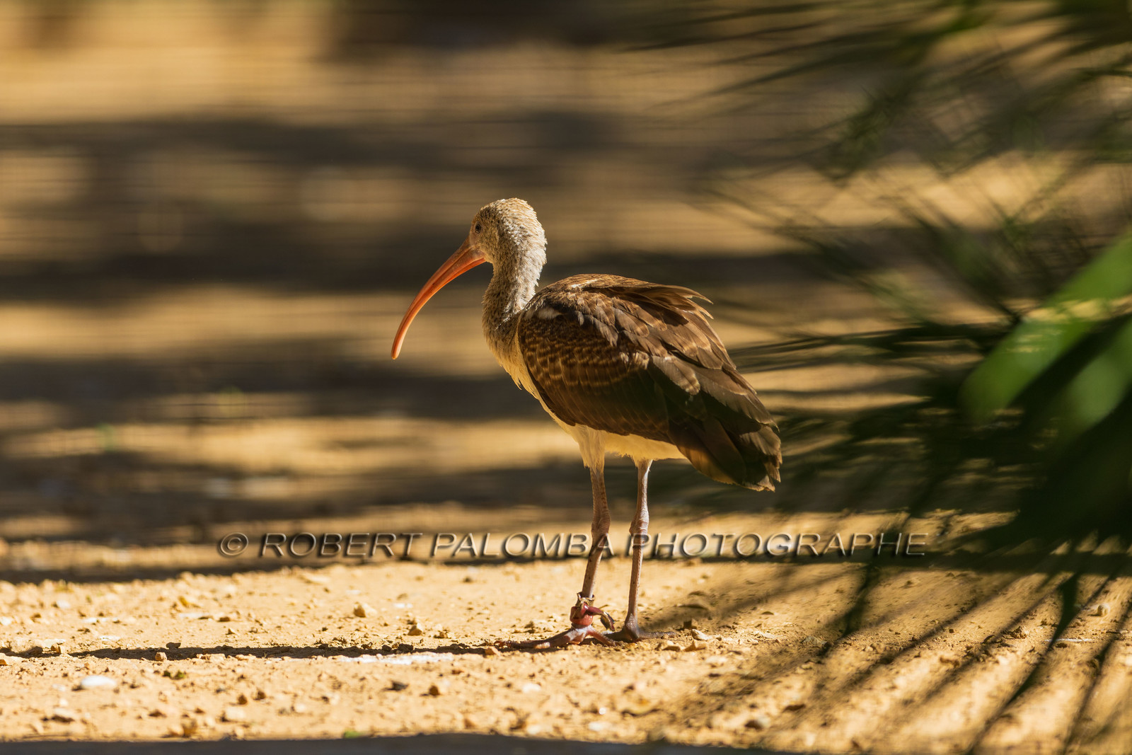Parc animalier de la Barben