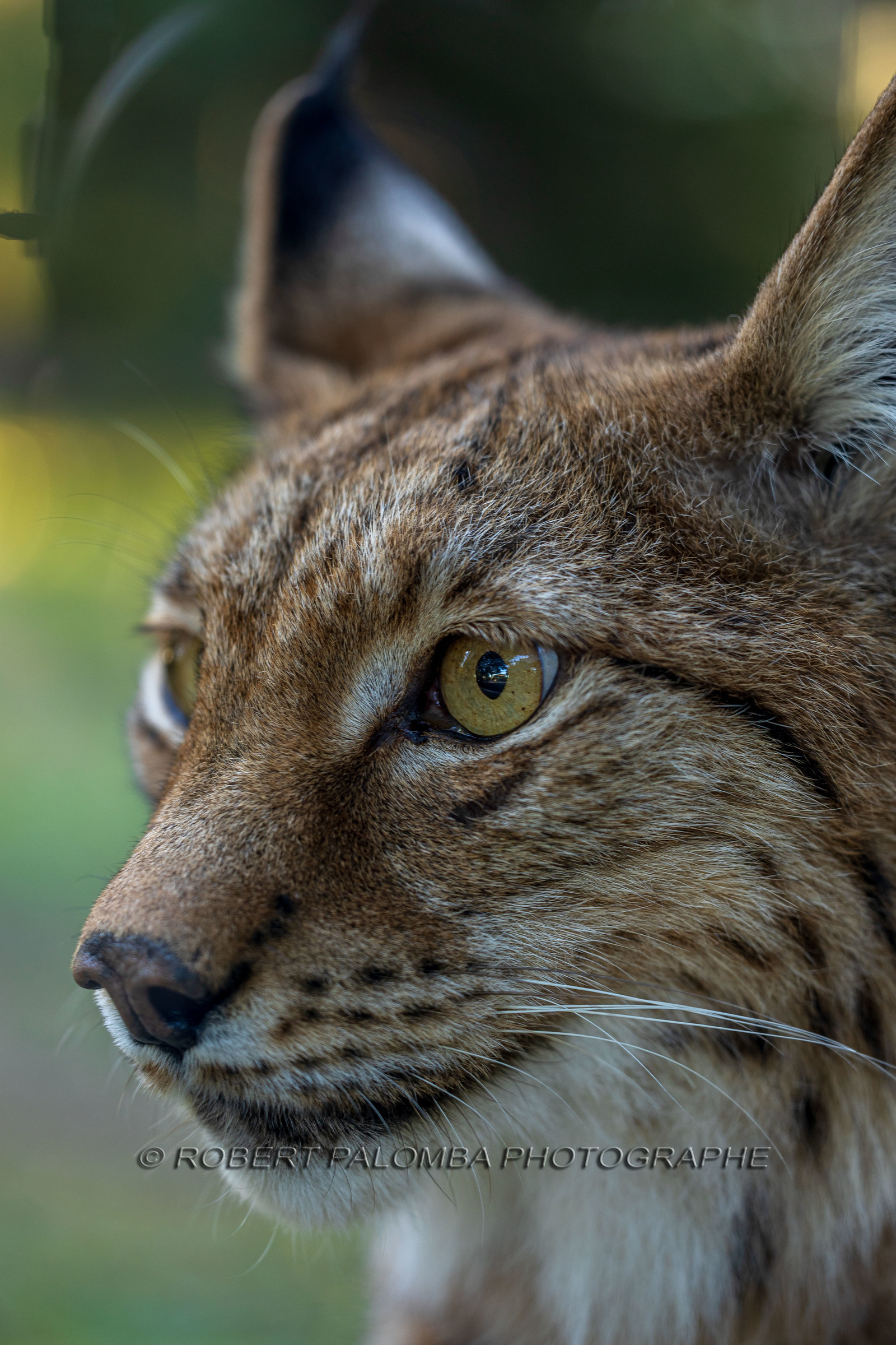 Parc animalier de la Barben