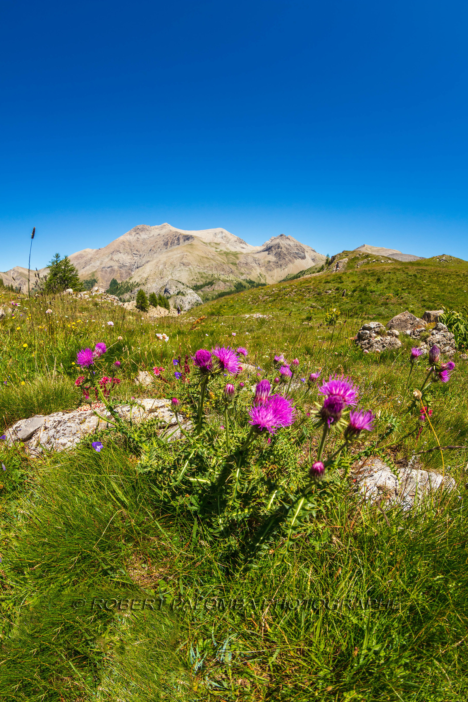 Lac d'Allos