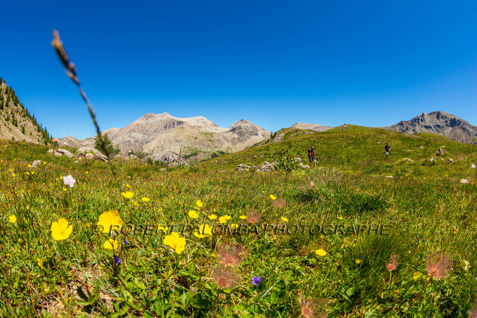 Lac d'Allos