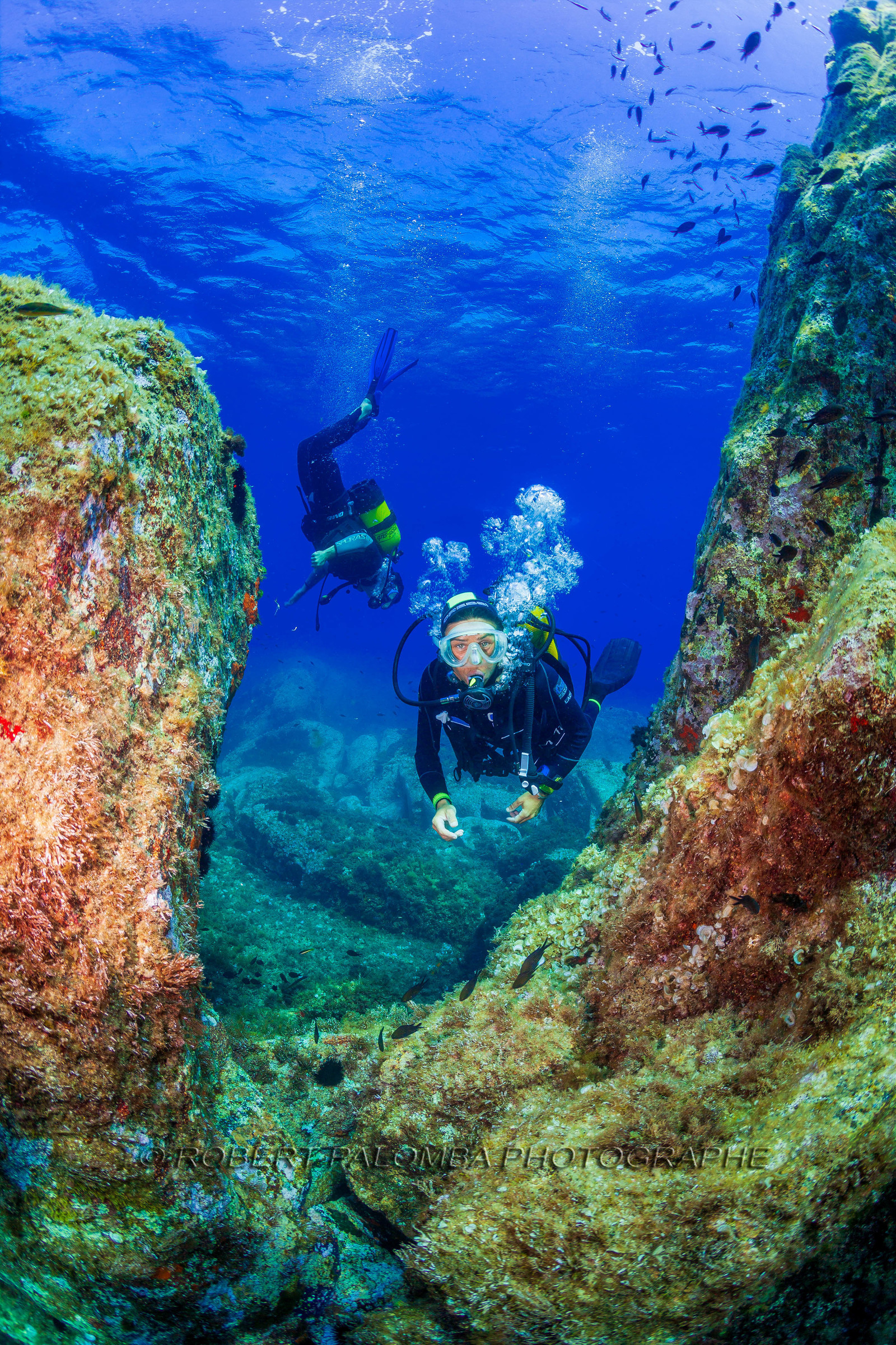 Plongée-sous-marine