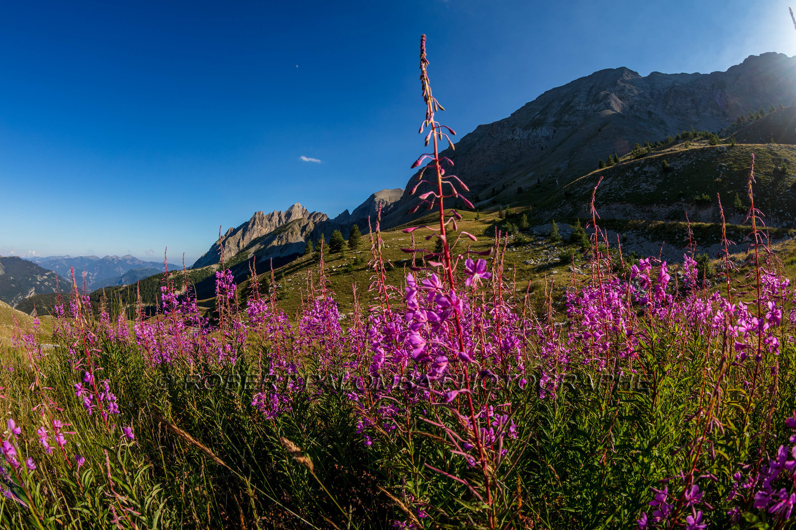 Col des Champs