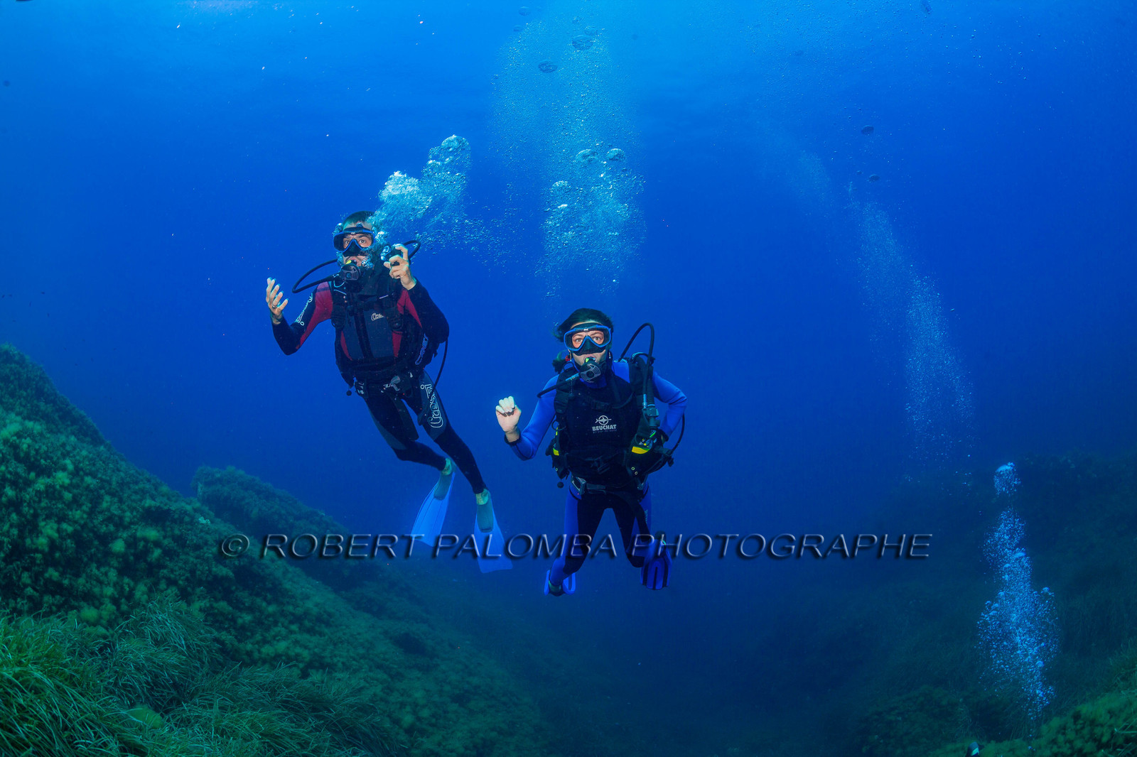 Plongée-sous-marine