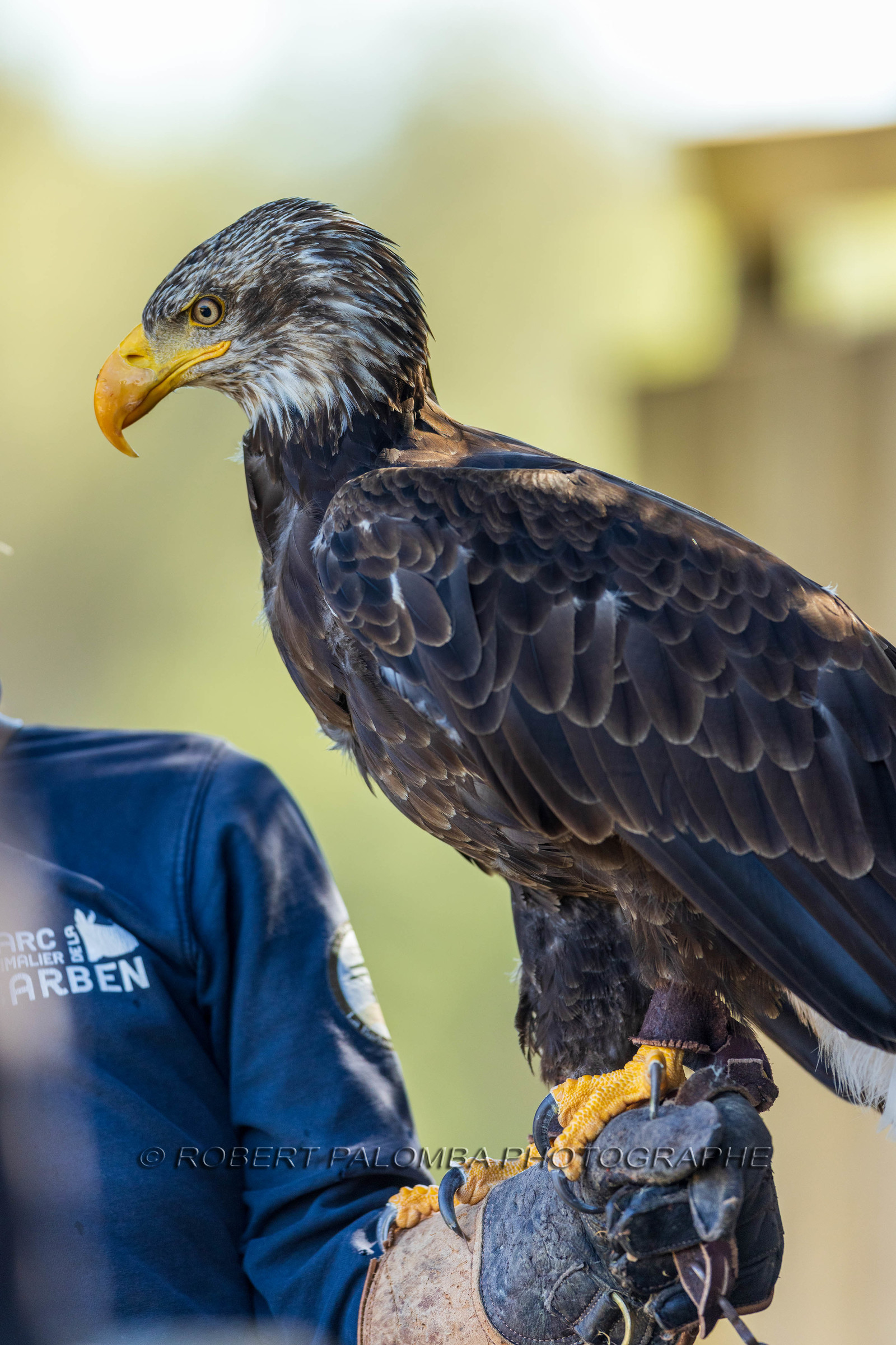 Parc animalier de la Barben