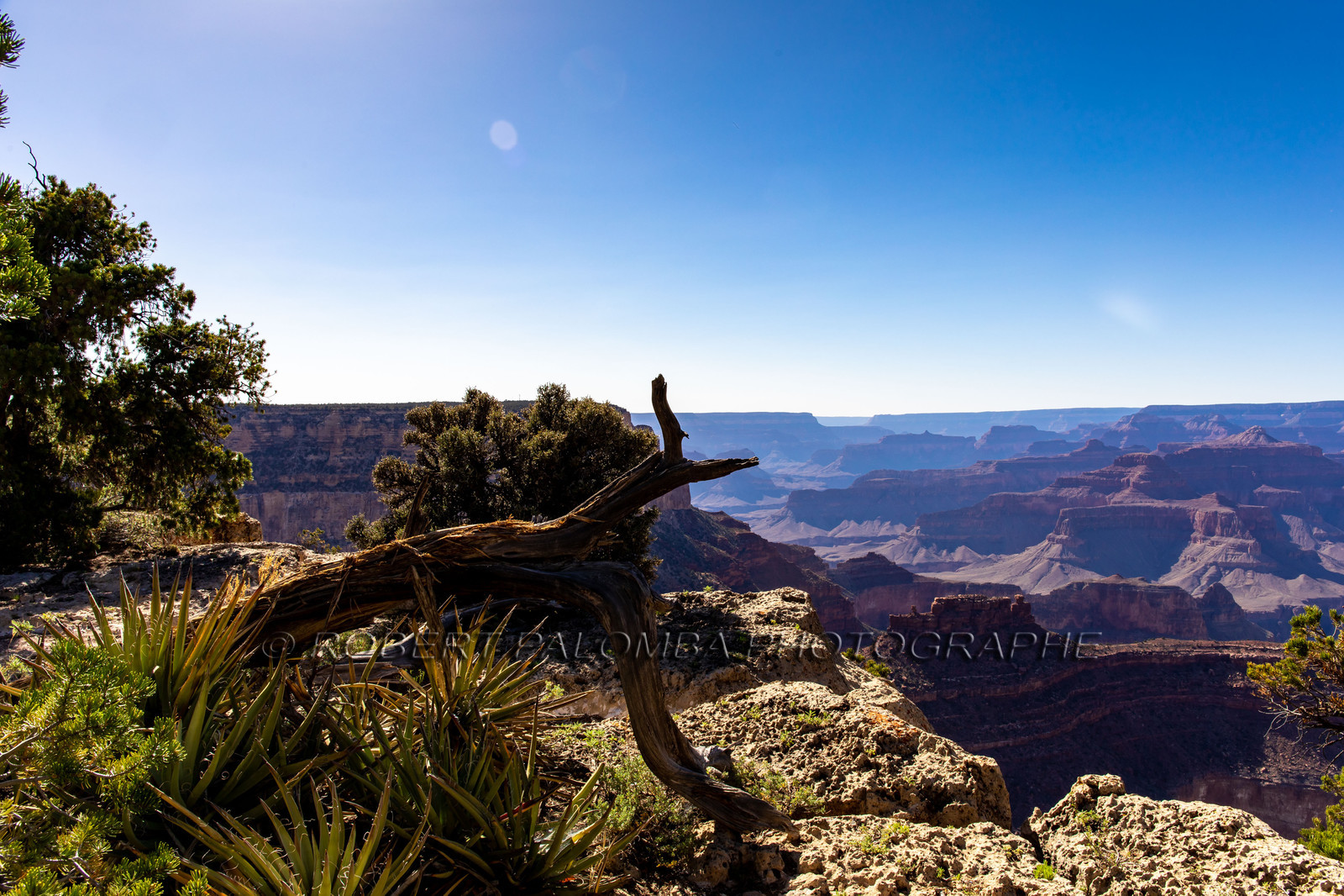 Grand Canyon