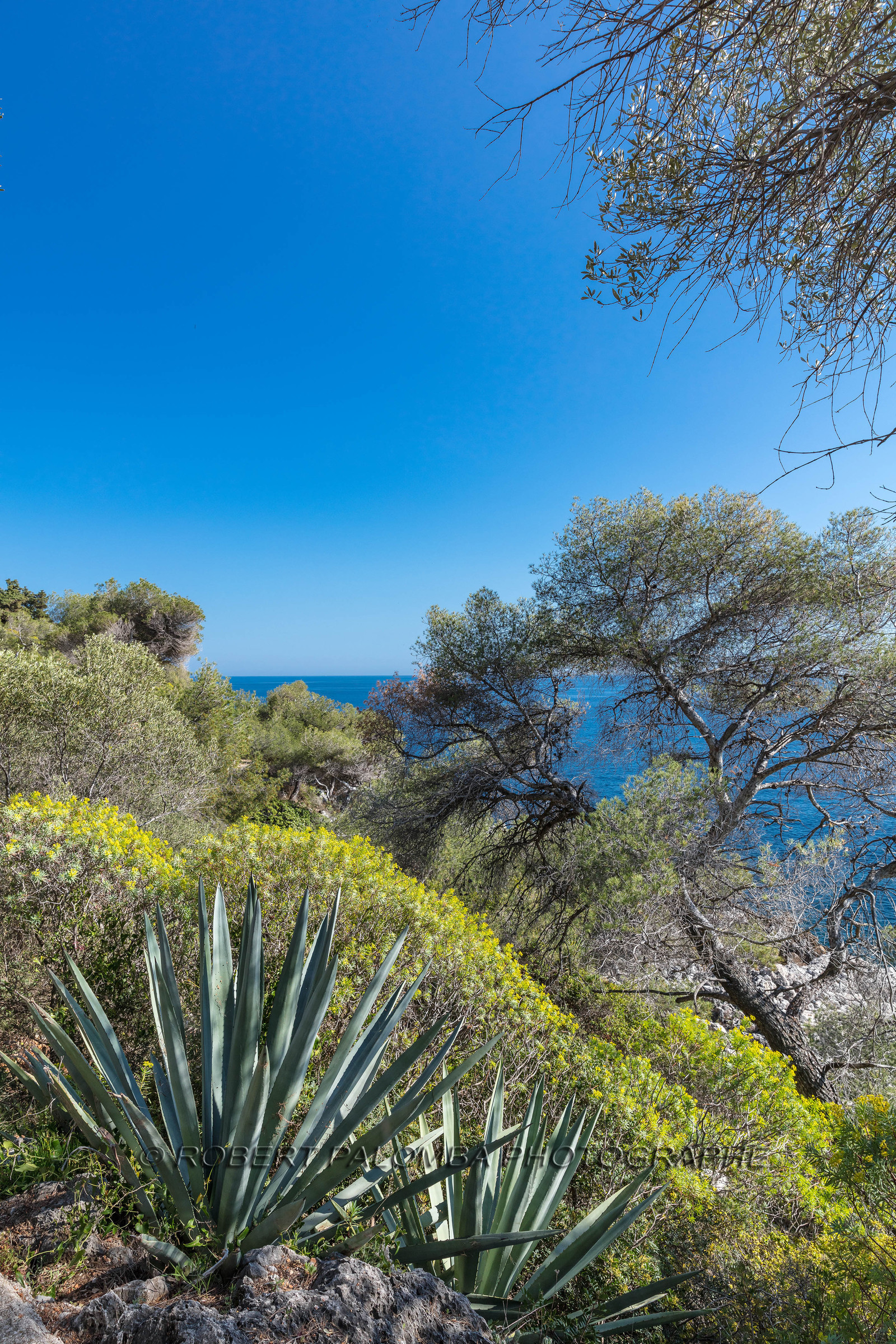 Roquebrune-Cap-Martin