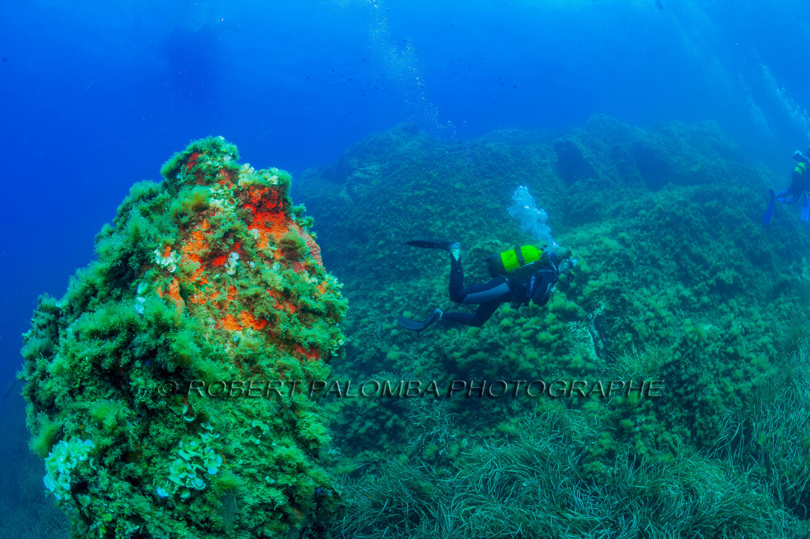 Plongée-sous-marine