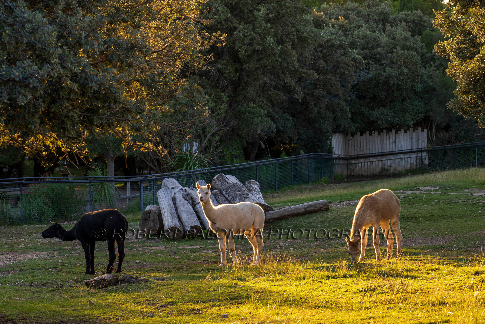 Parc animalier de la Barben
