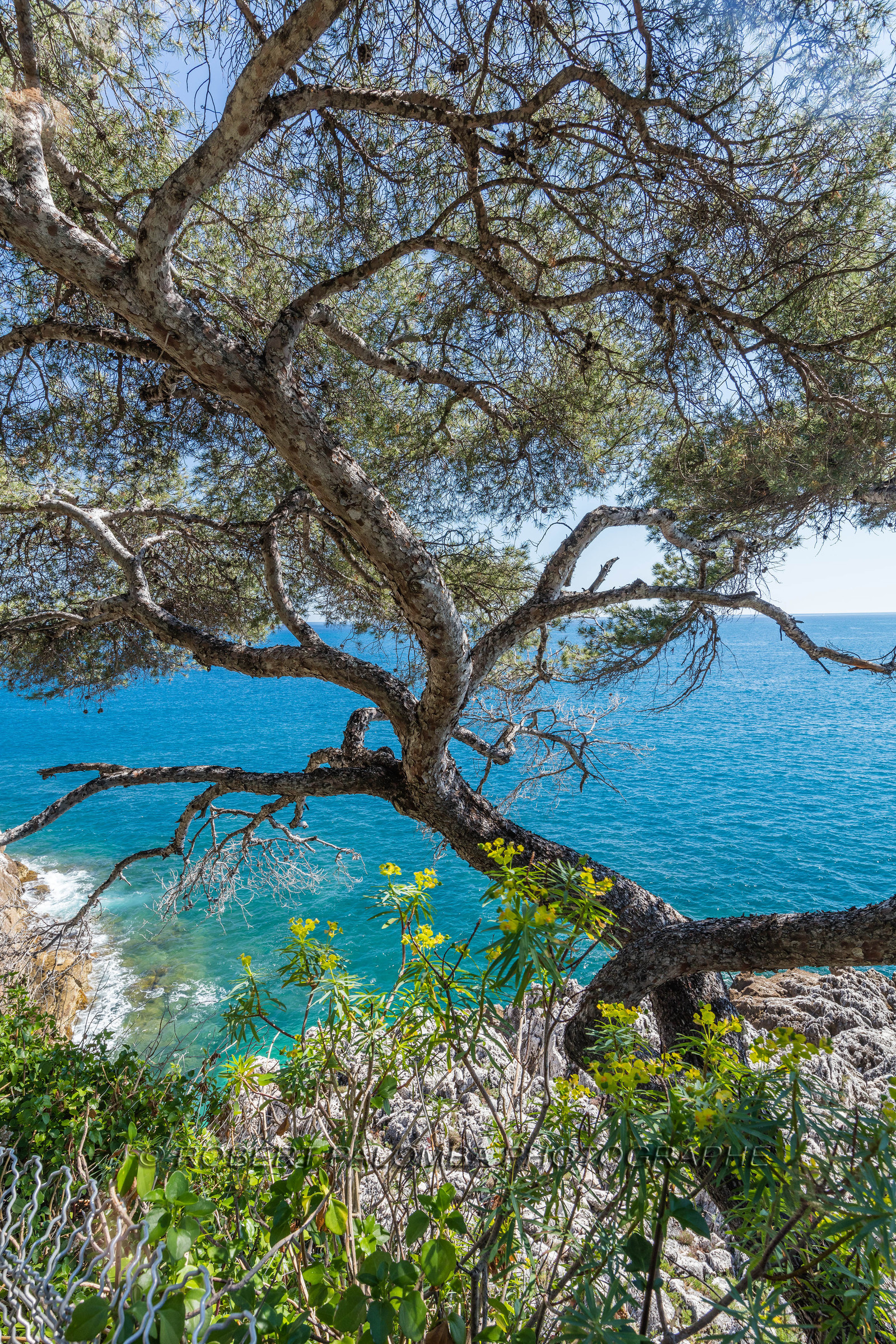 Roquebrune-Cap-Martin