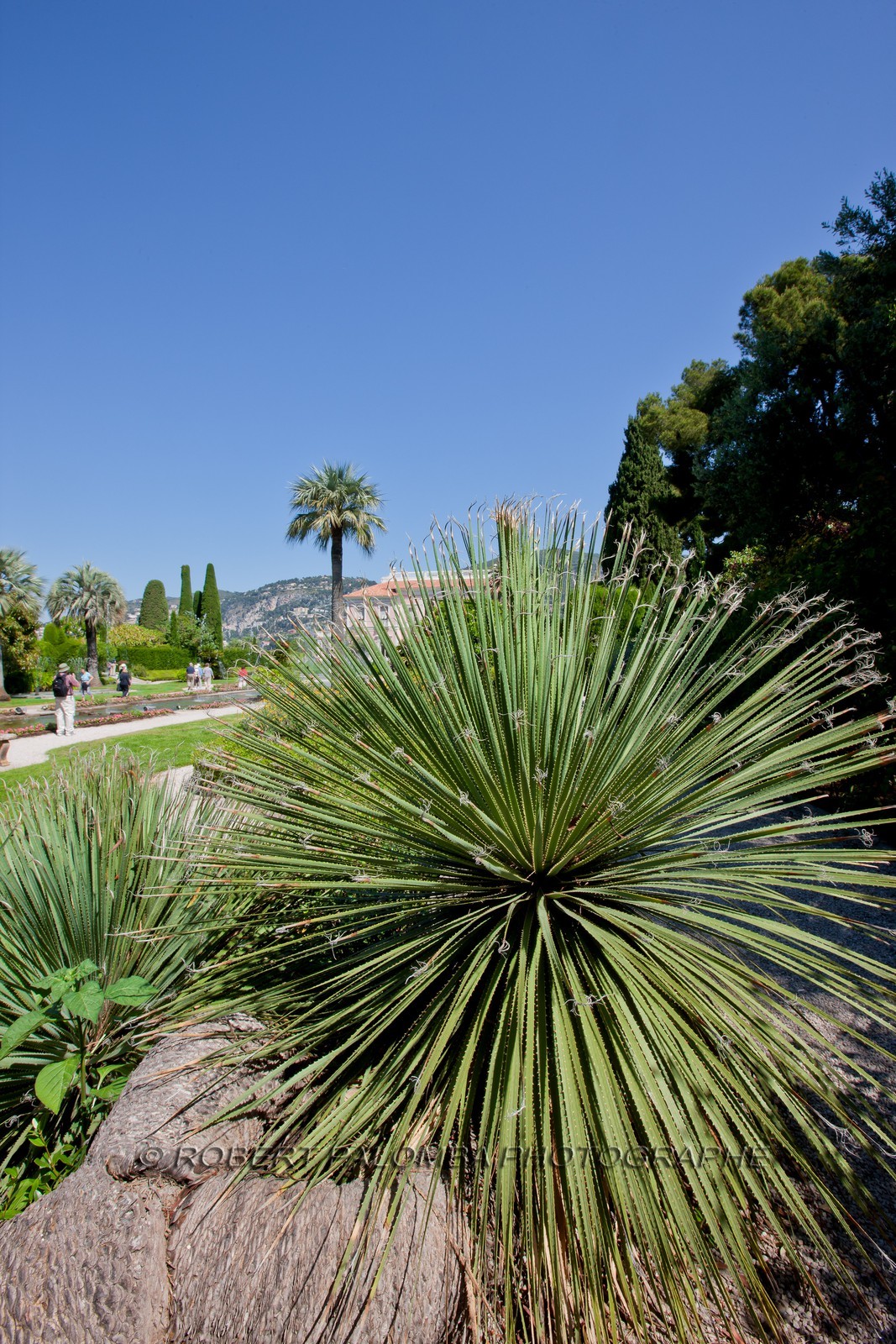 Villa et Jardins Ephrussi de Rothschild