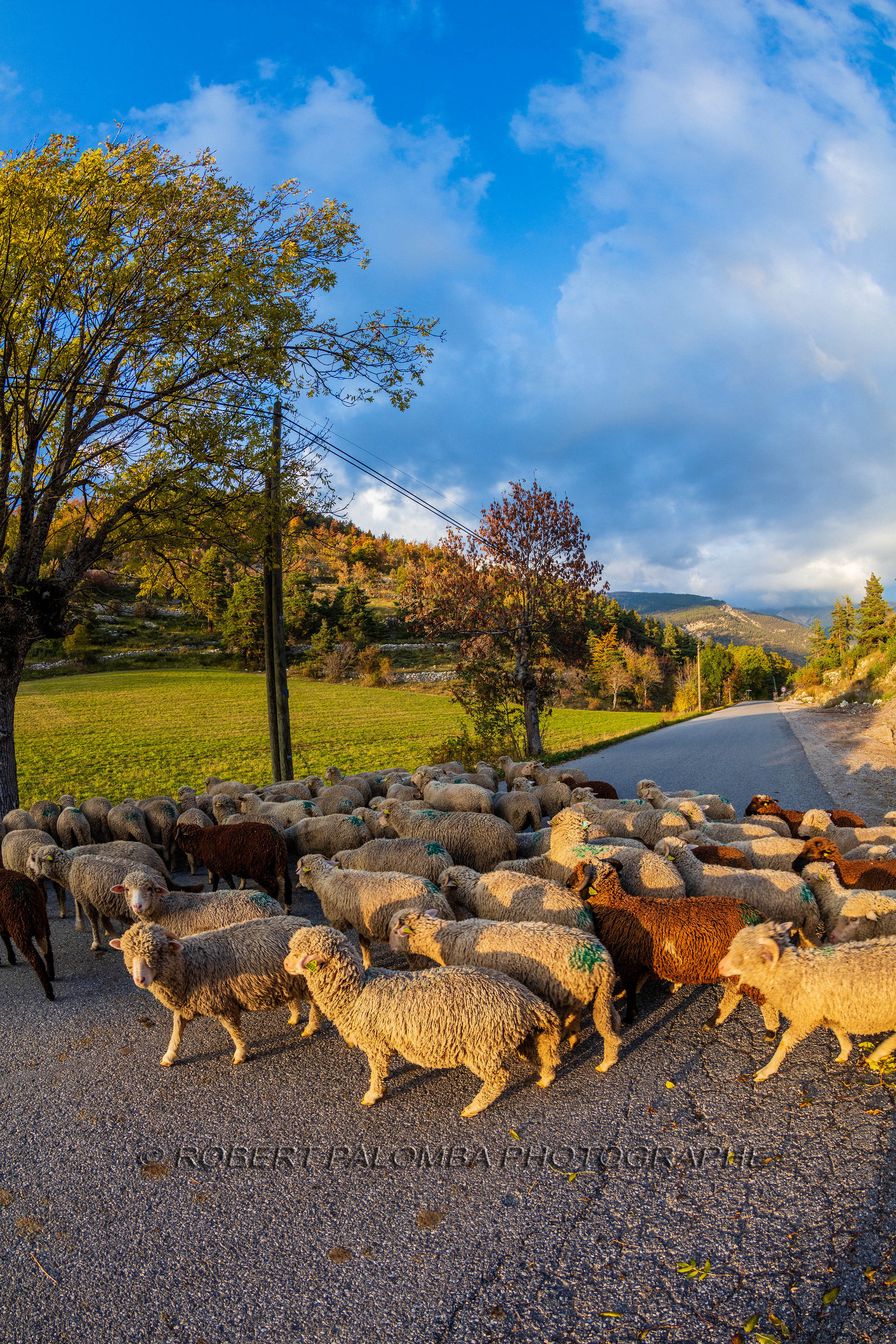 La Colle Saint-Michel