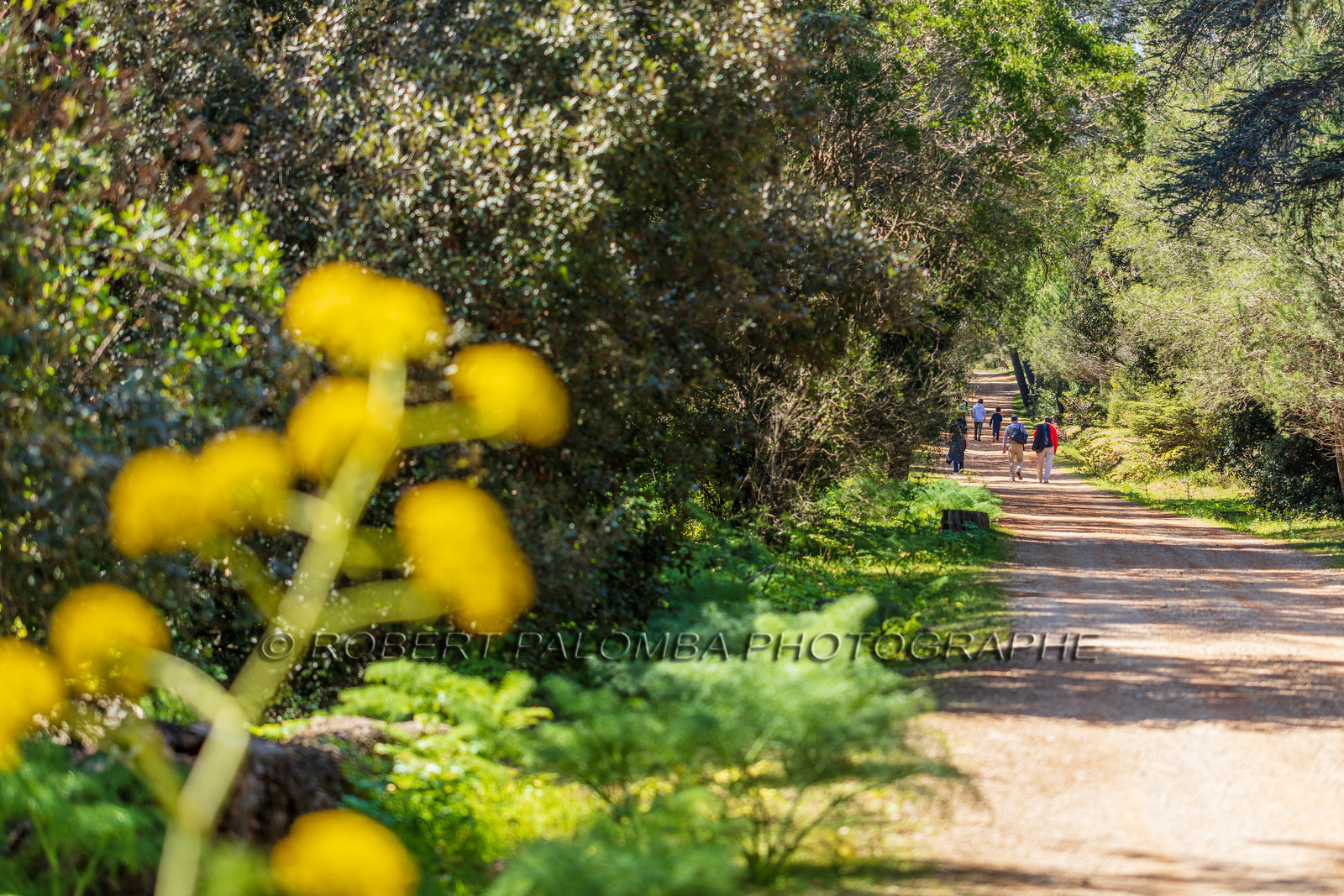 Lérins, Sainte-Marguerite