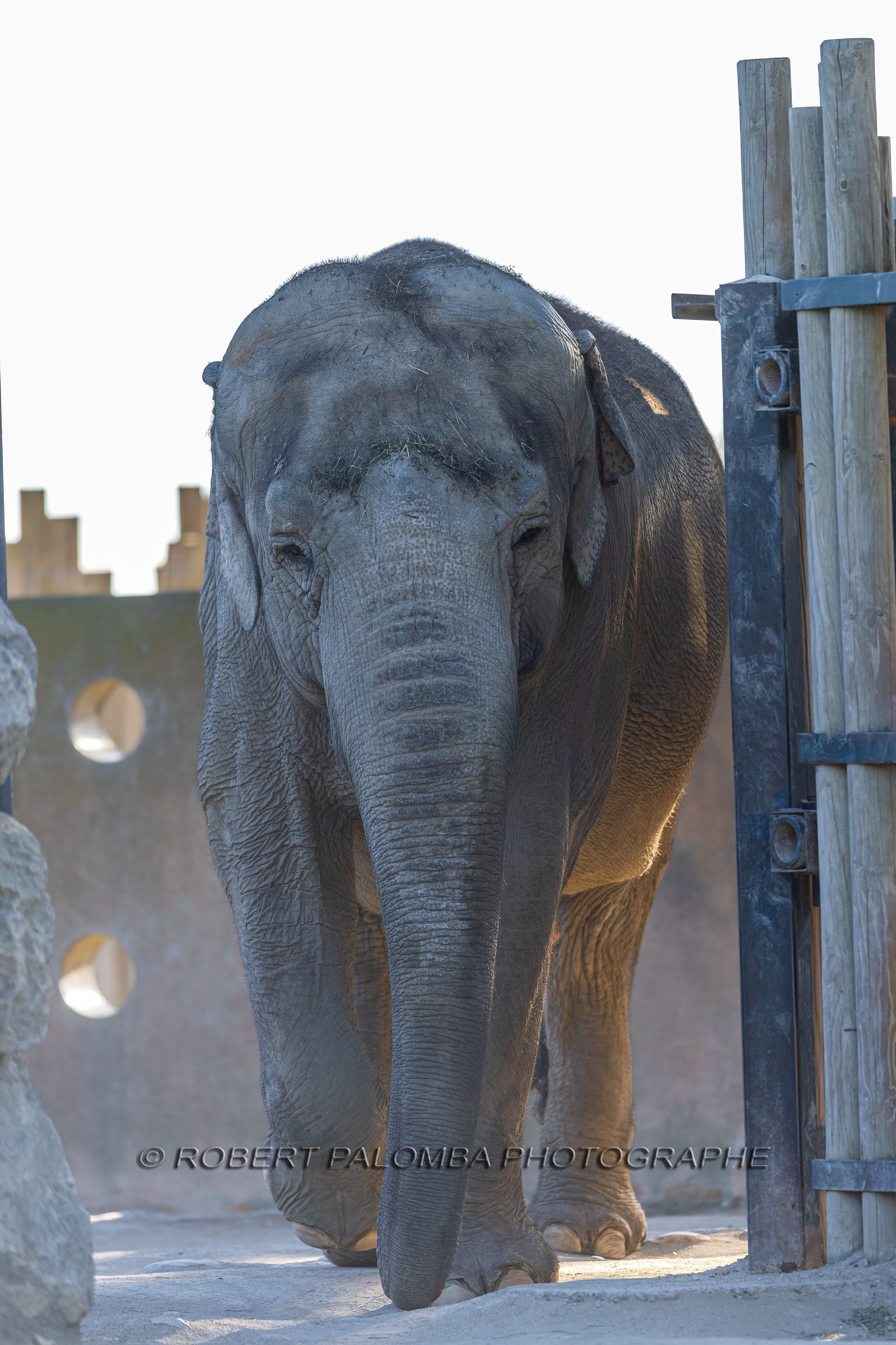 Parc animalier de la Barben