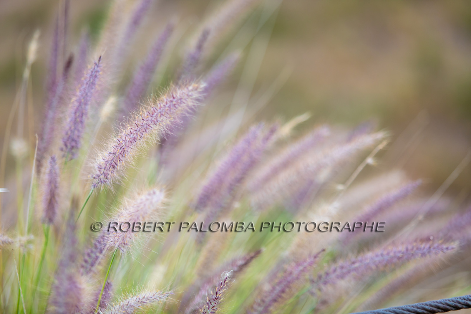Etats-Unis, Californie, Los Angeles, Hollywood Sign