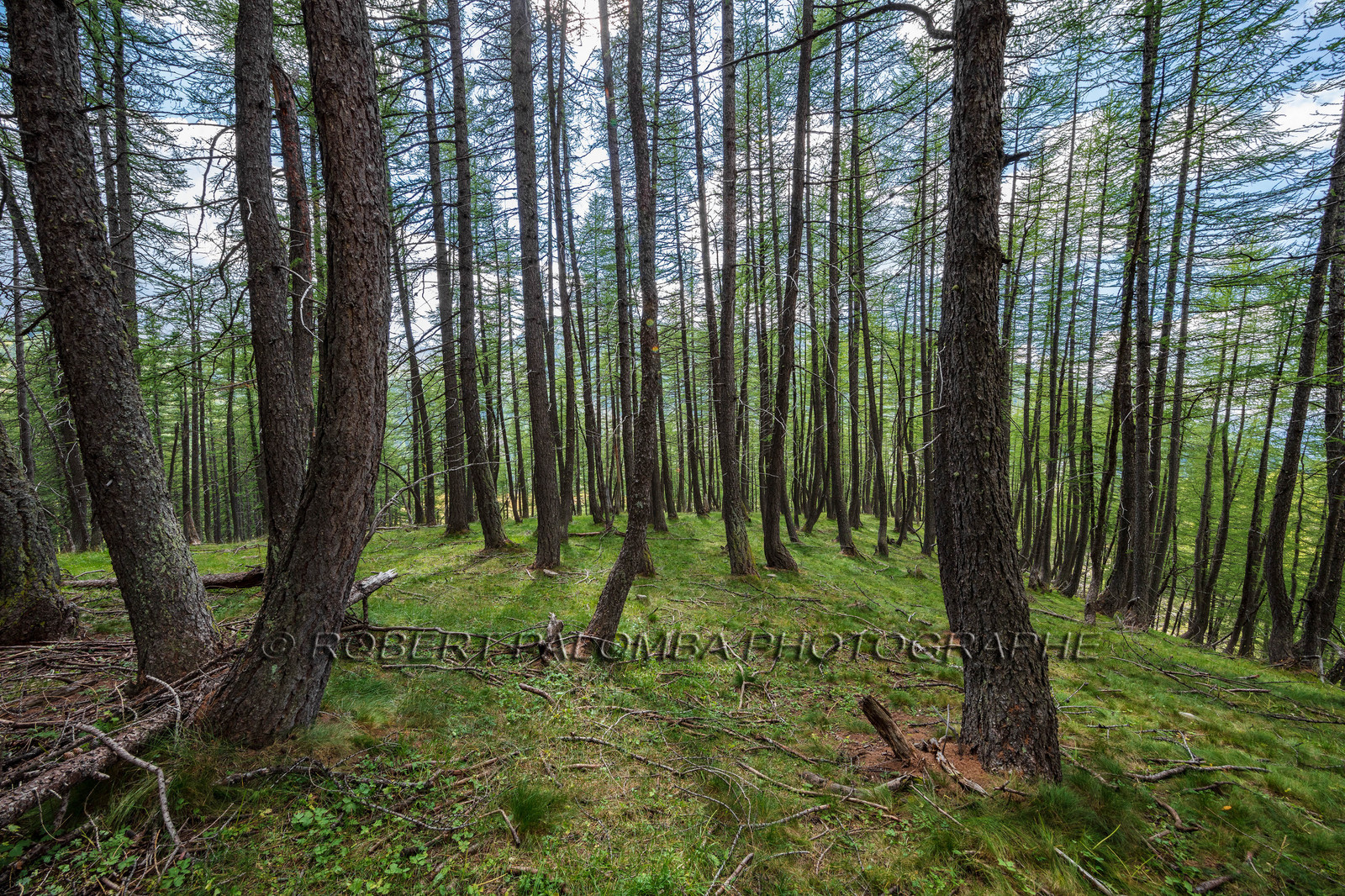 Plateau de Méouille