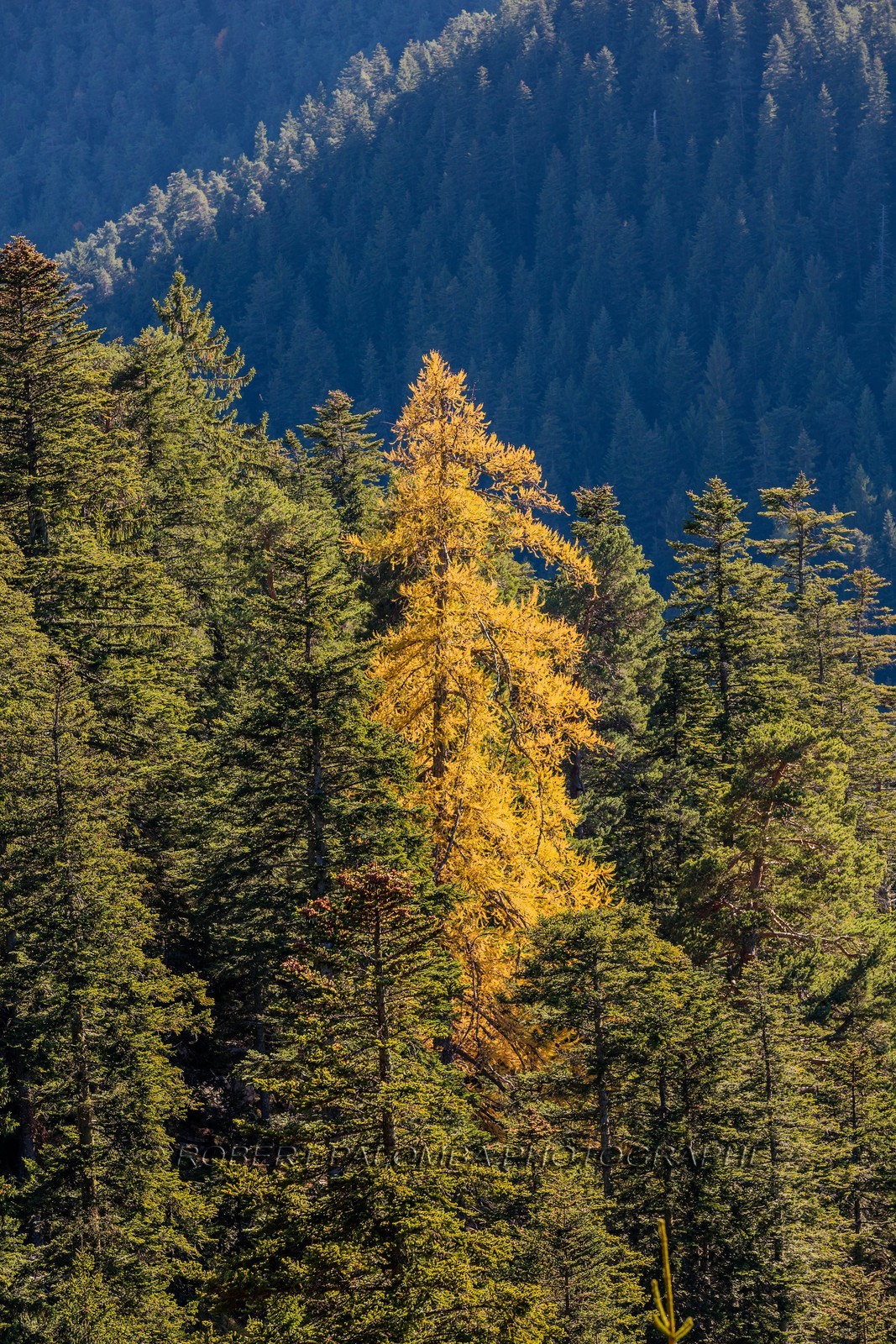 Granges de la Brasque