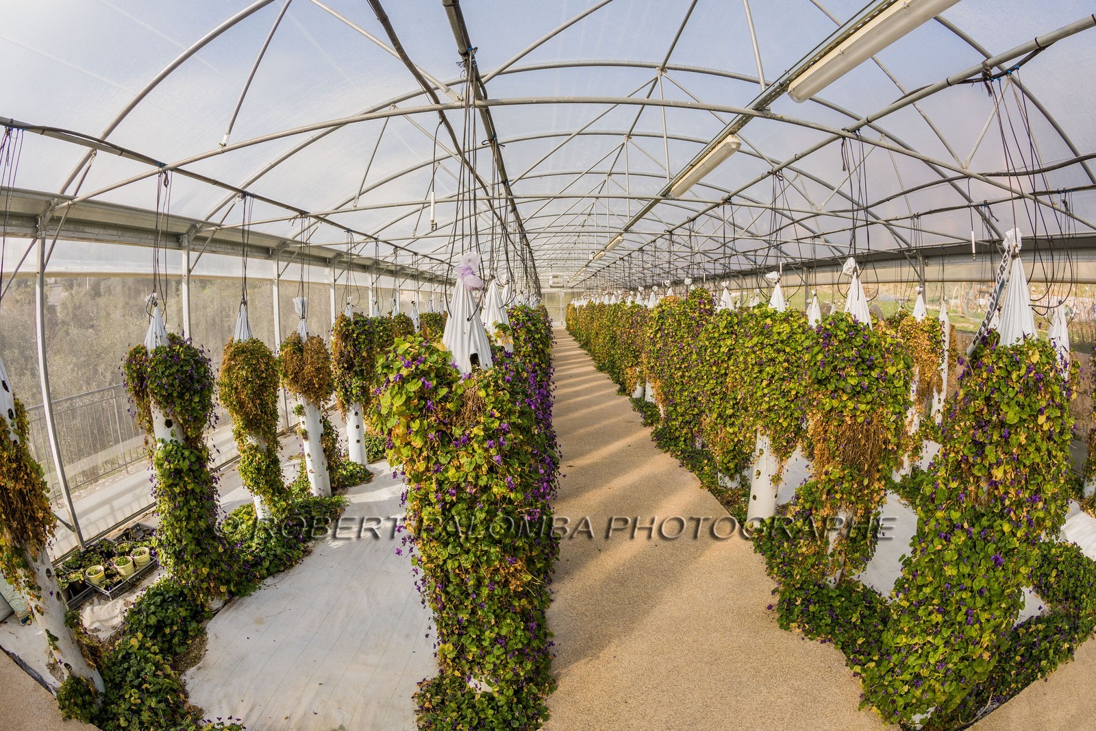 La Bastide aux Violettes