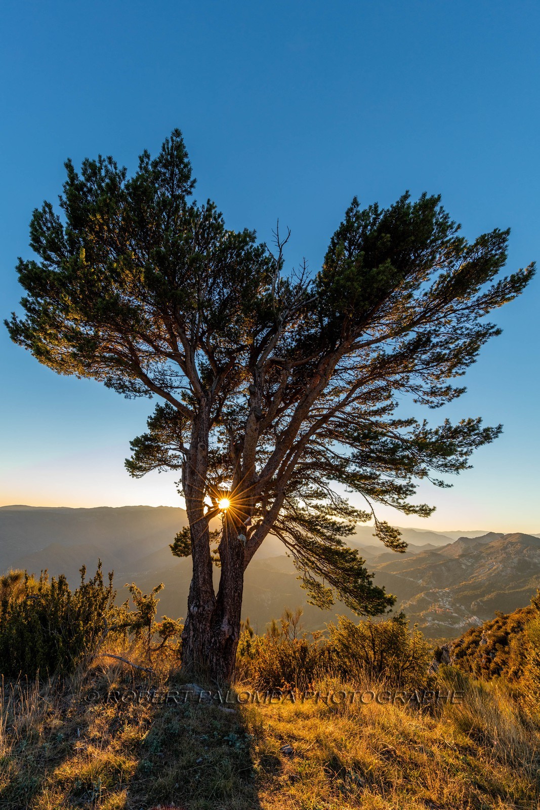 Toudon vu du Mont Vial