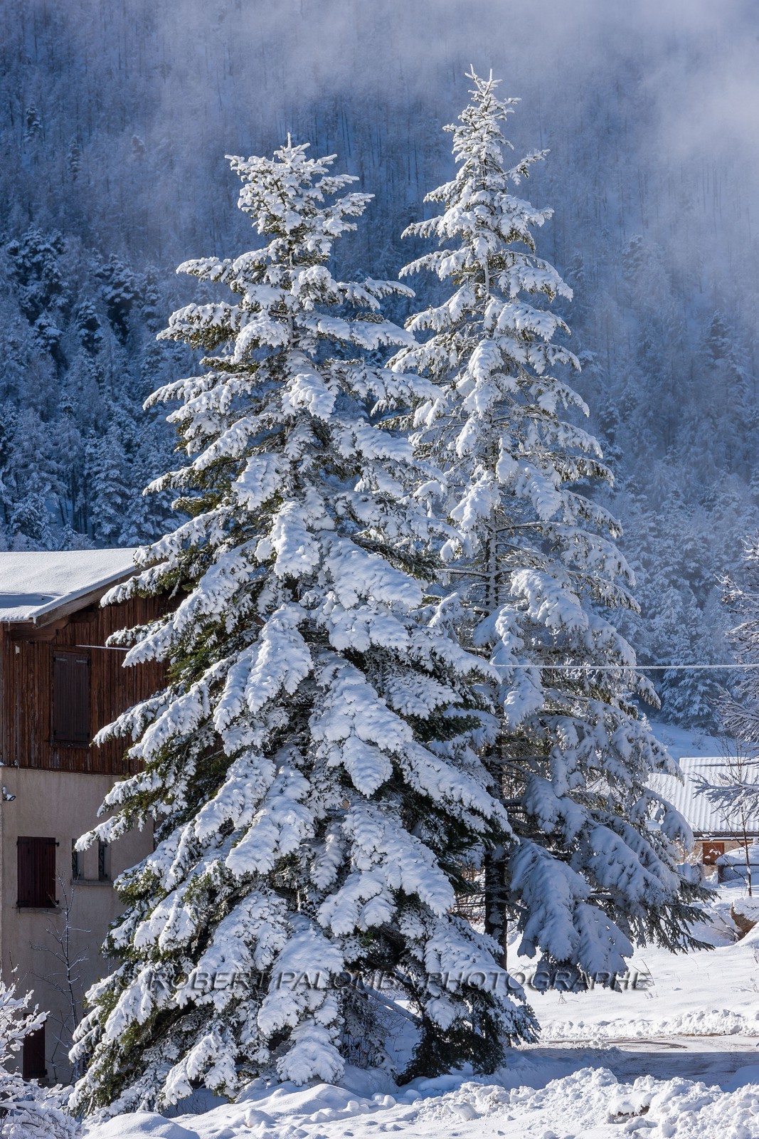 La Colle-Saint-Michel
