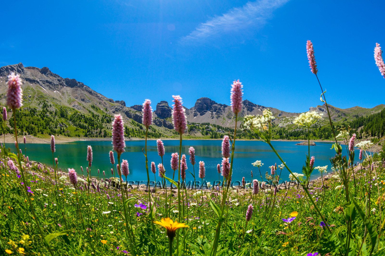 Lac d'Allos