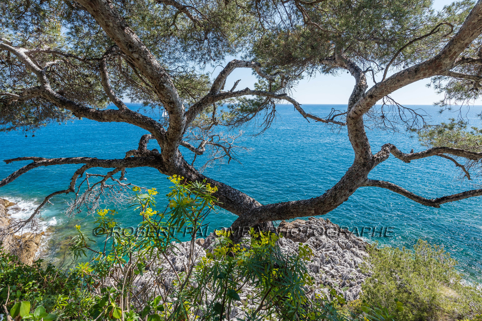 Roquebrune-Cap-Martin