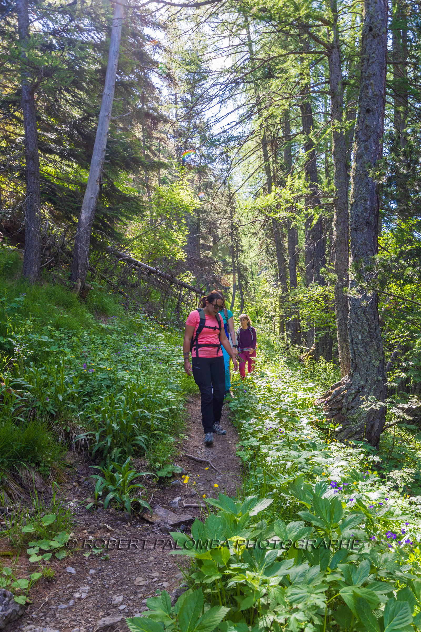 Cascade du Chadoulin