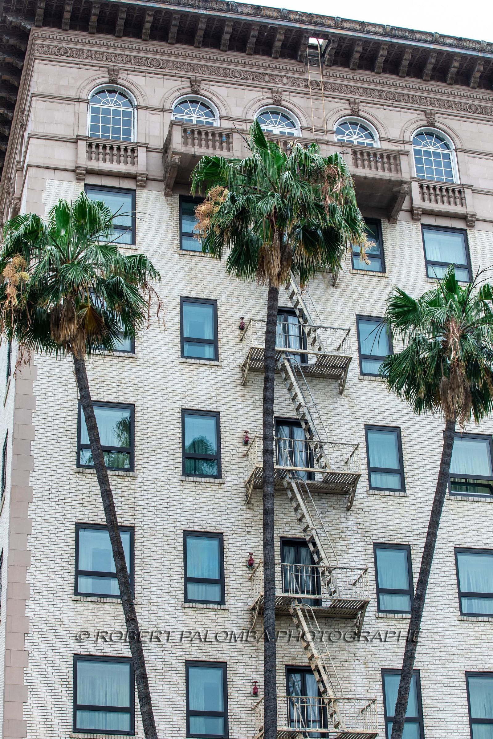 Etats-Unis, Californie-du-Sud, Los Angeles, Rodeo Drive