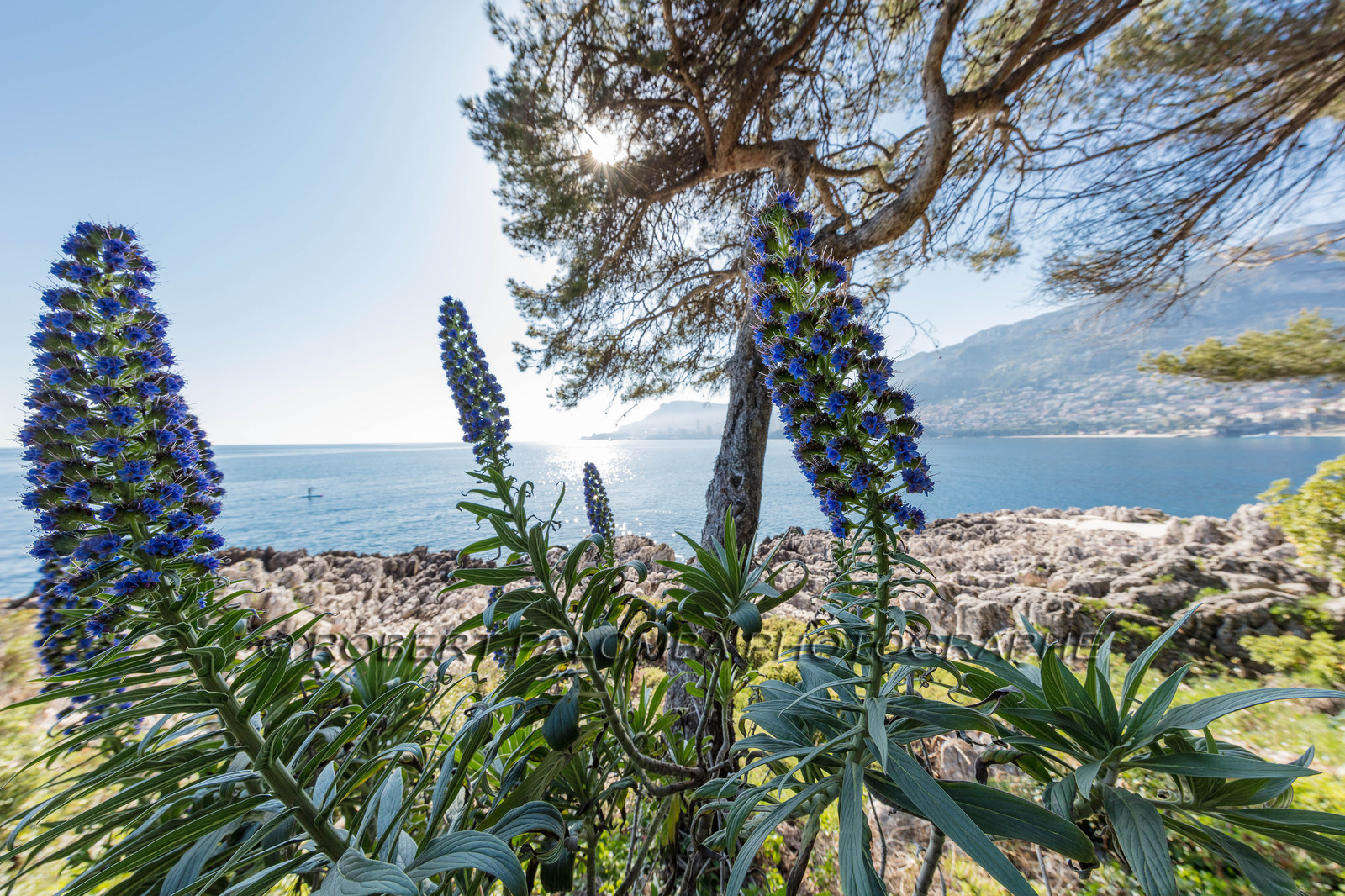 Roquebrune-Cap-Martin