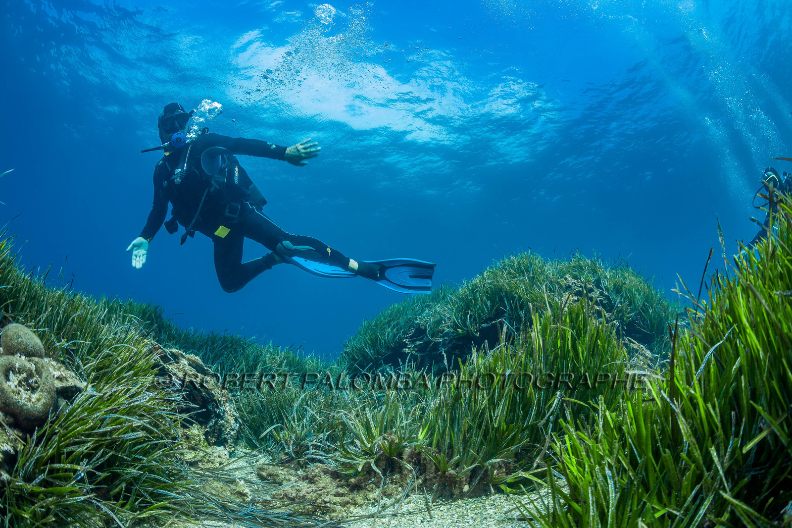 Plongée sous-marine