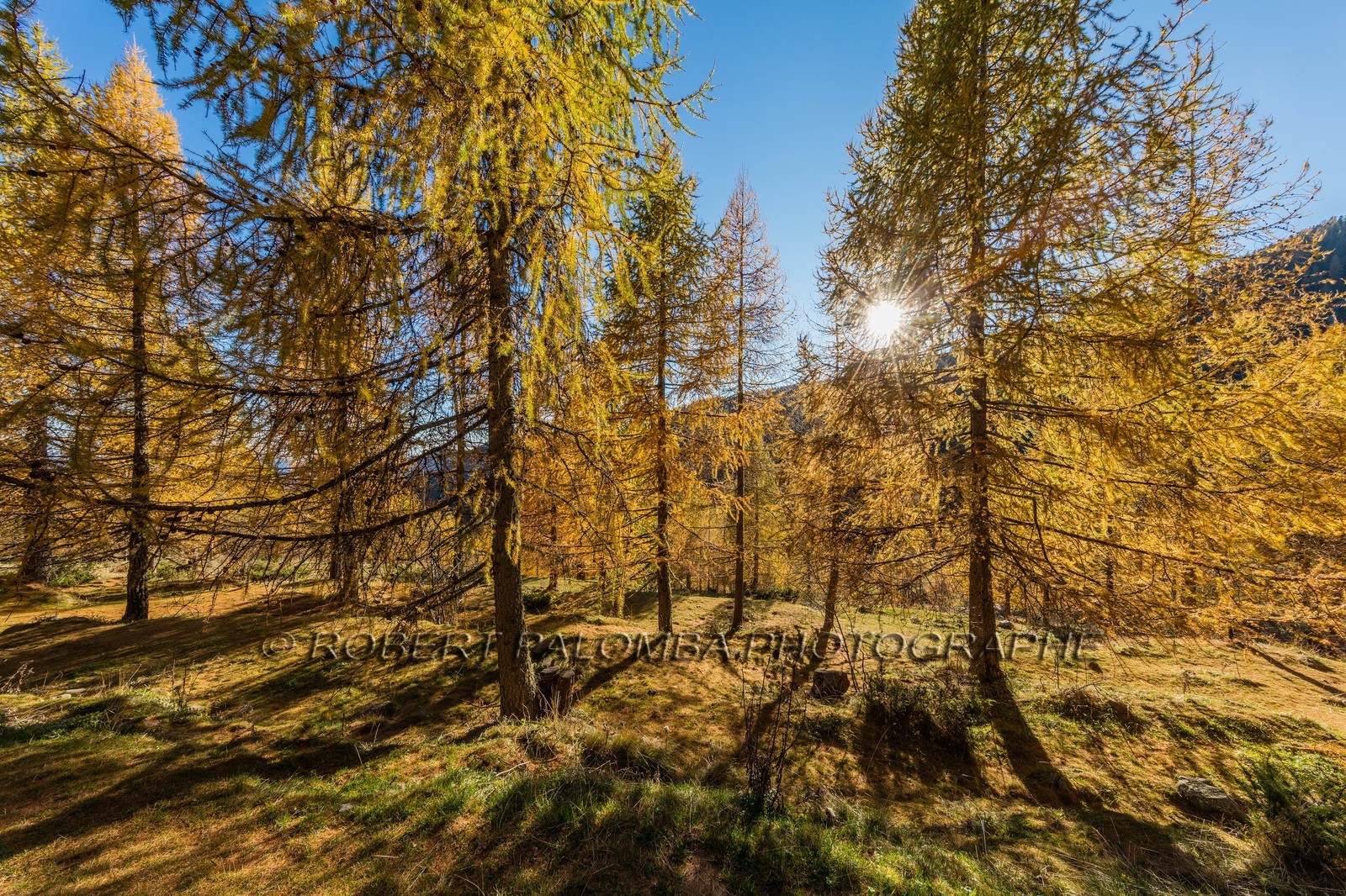 Granges de la Brasque