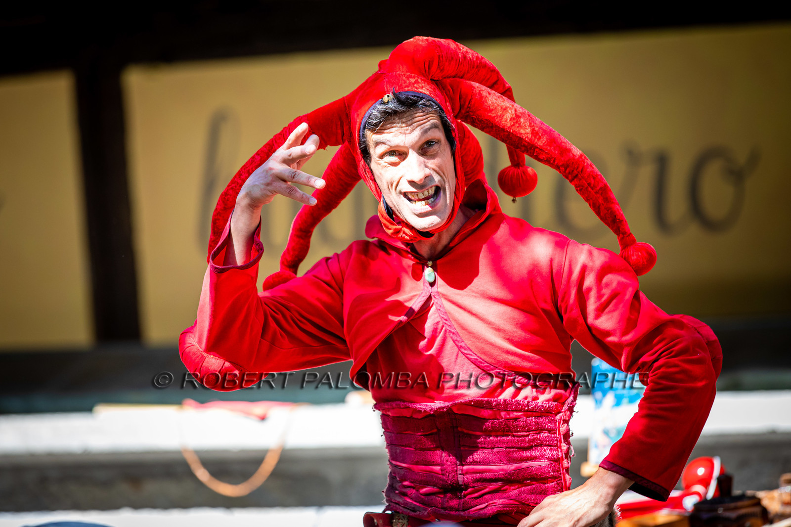 Fête Médiévale de Colmars - Les 25 ans