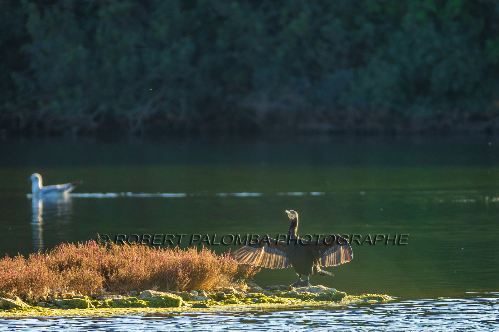 Lérins Sainte-Marguerite 2024
