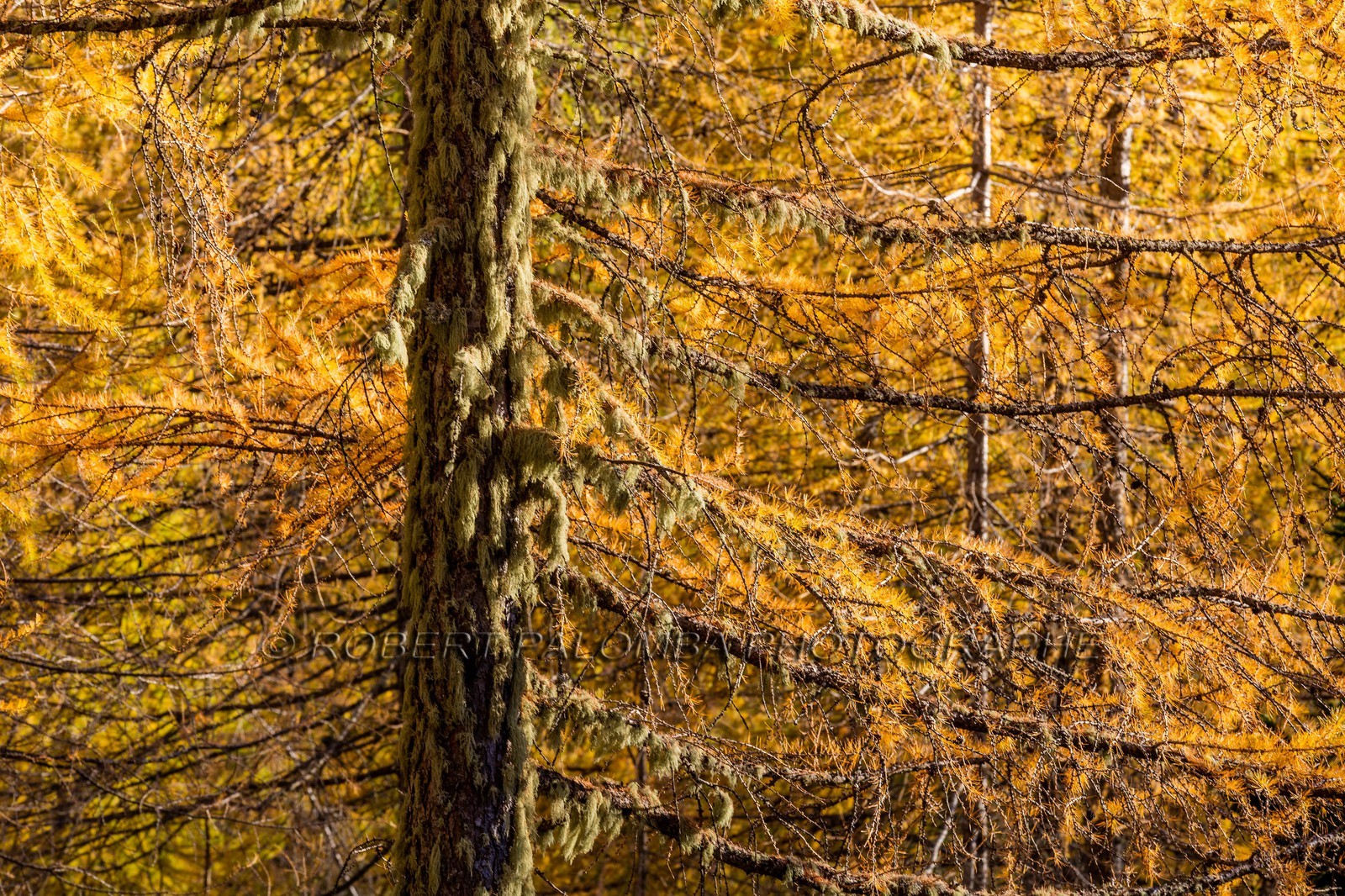 Granges de la Brasque