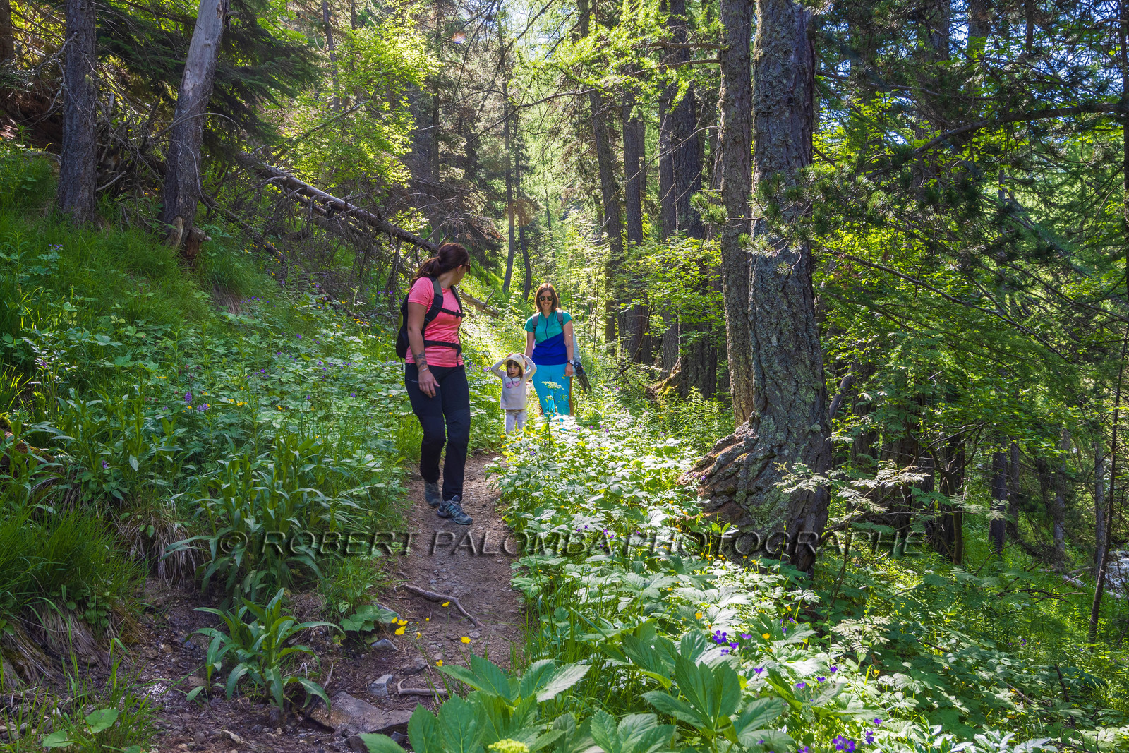 Cascade du Chadoulin