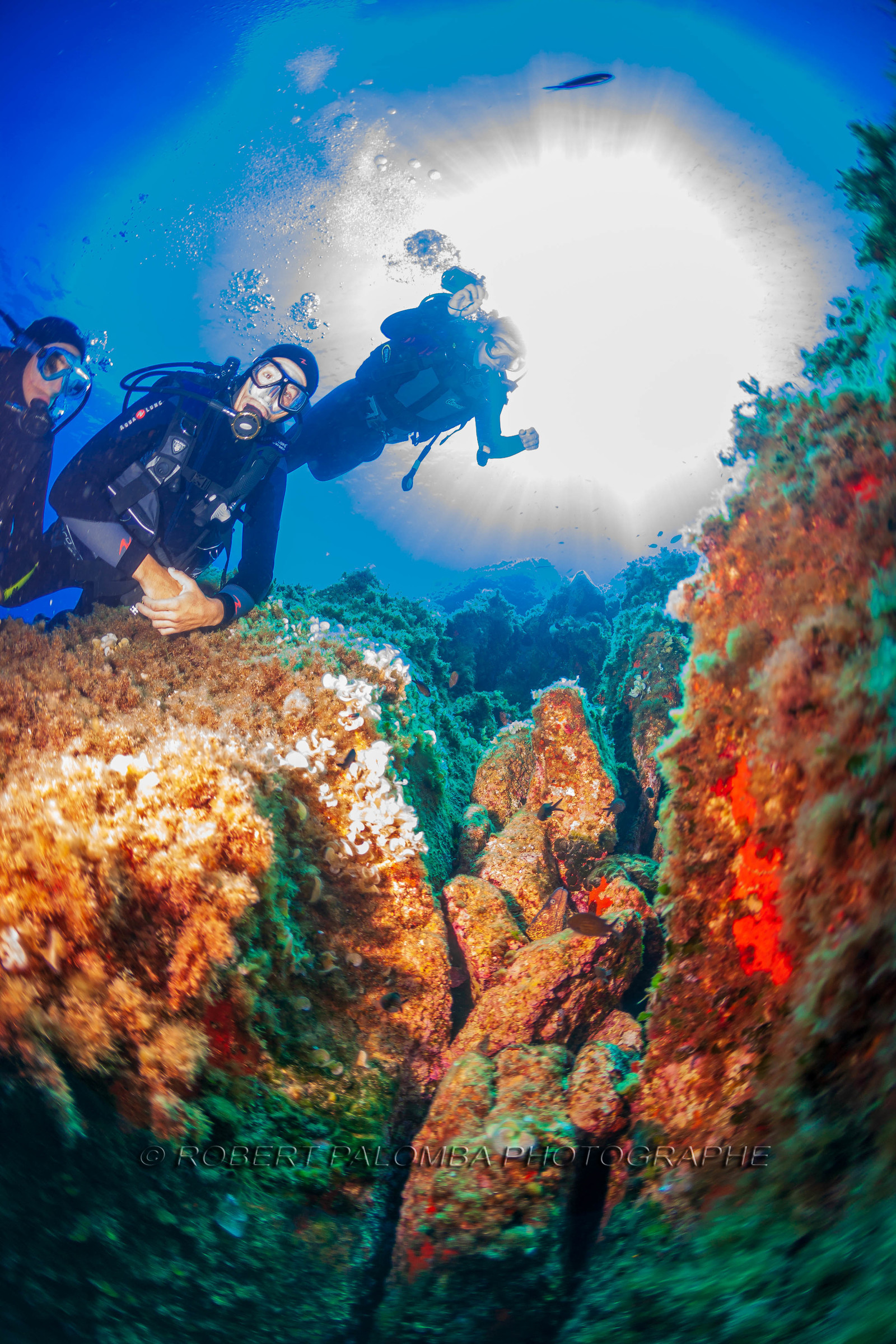 Plongée-sous-marine