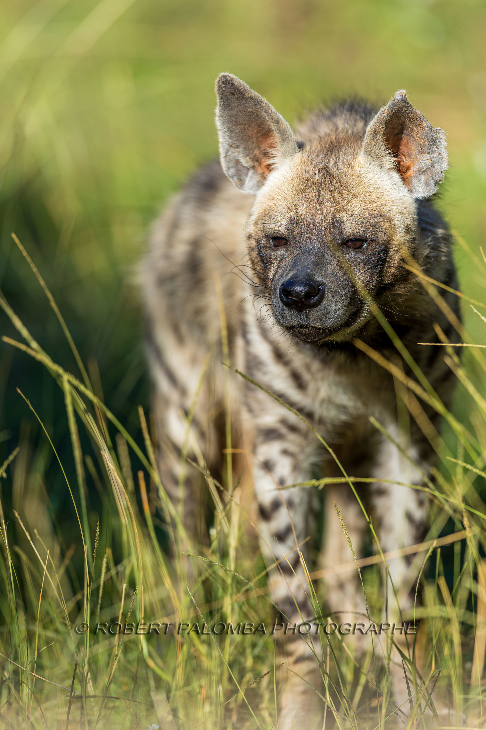 Parc animalier de la Barben