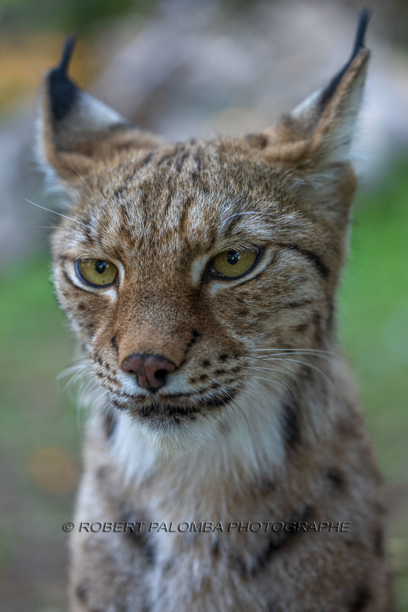 Parc animalier de la Barben
