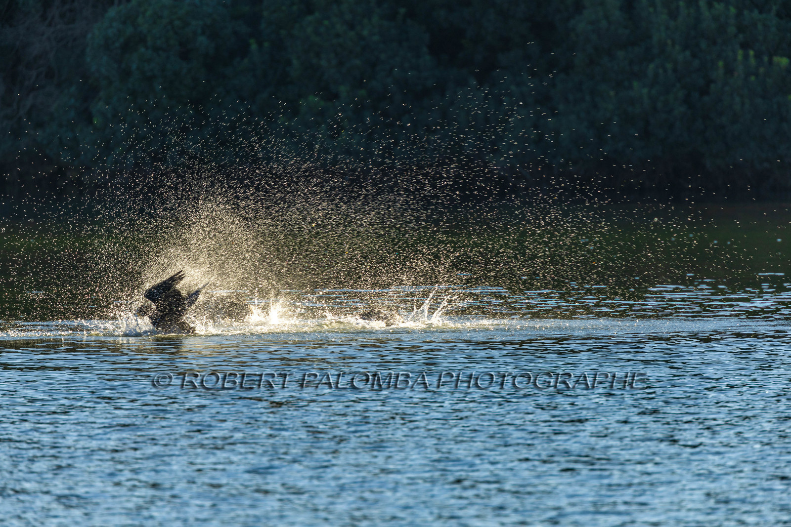 Lérins Sainte-Marguerite 2024