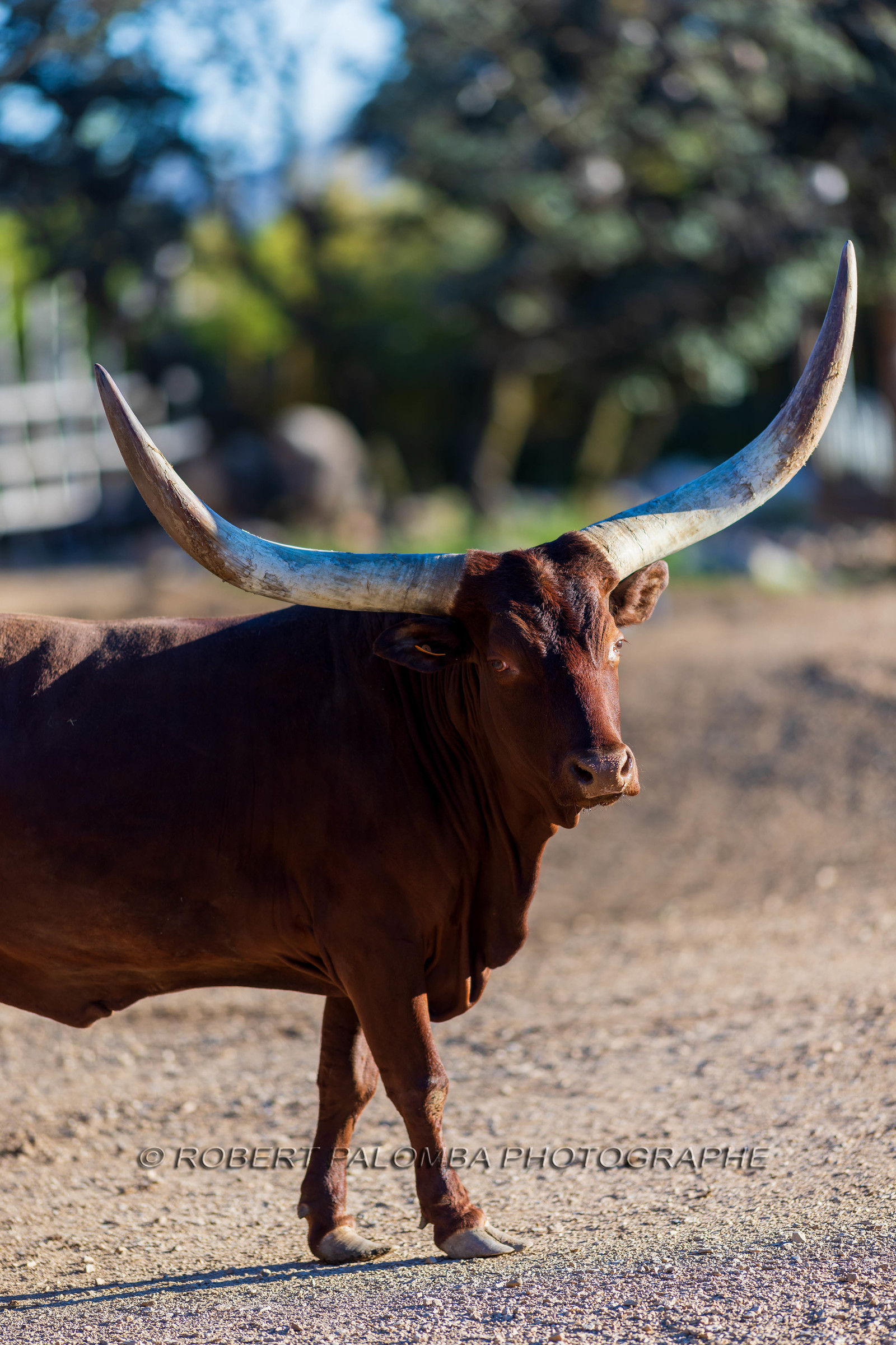 Parc animalier de la Barben