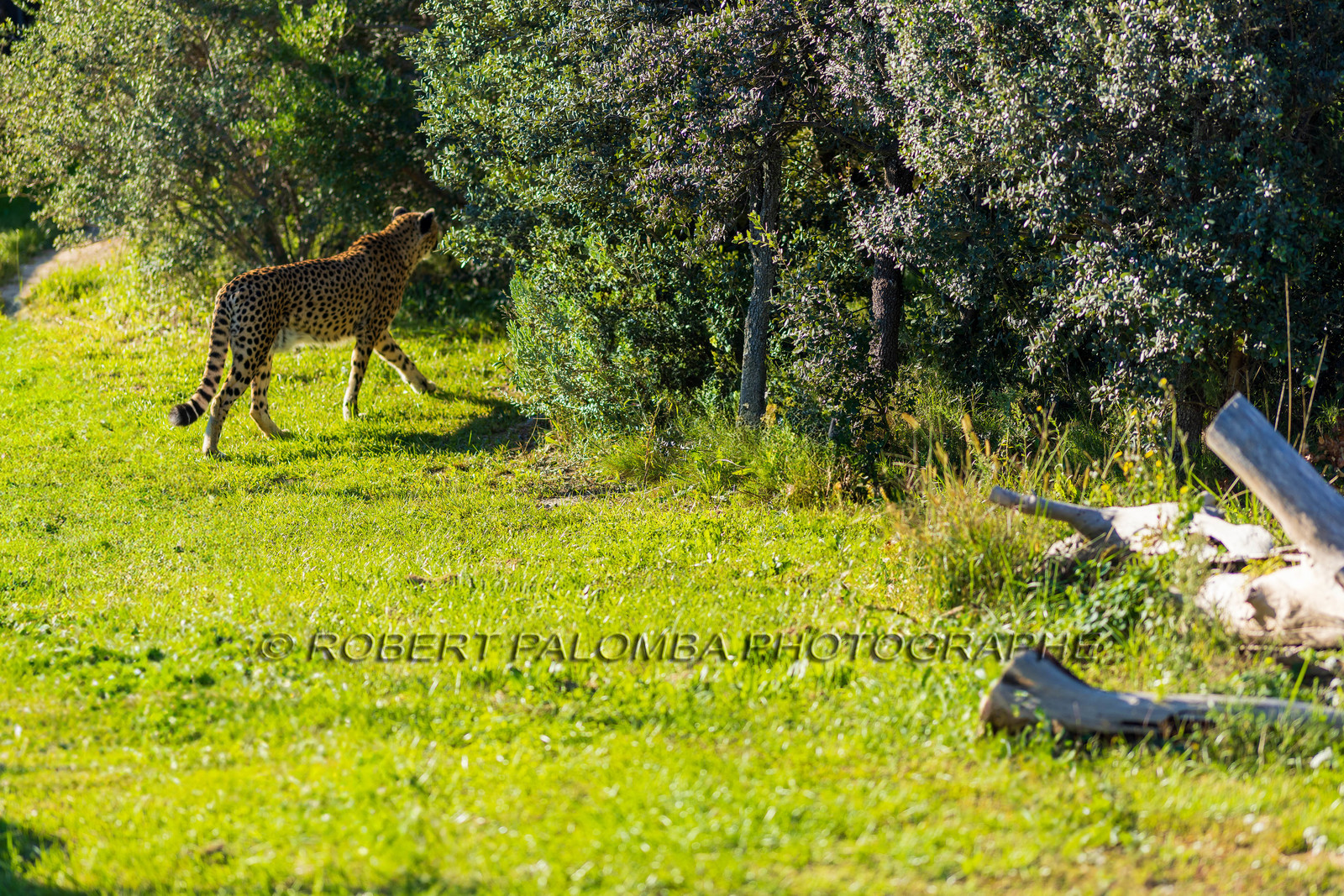 Parc animalier de la Barben