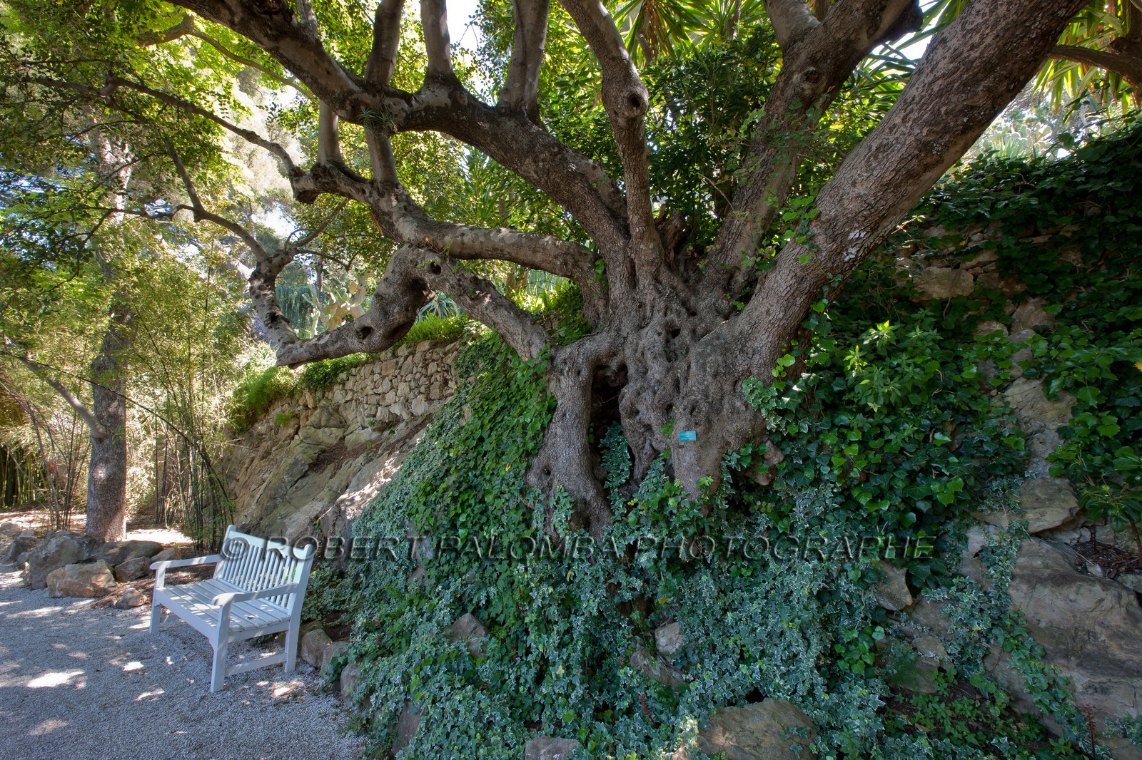 Villa et Jardins Ephrussi de Rothschild