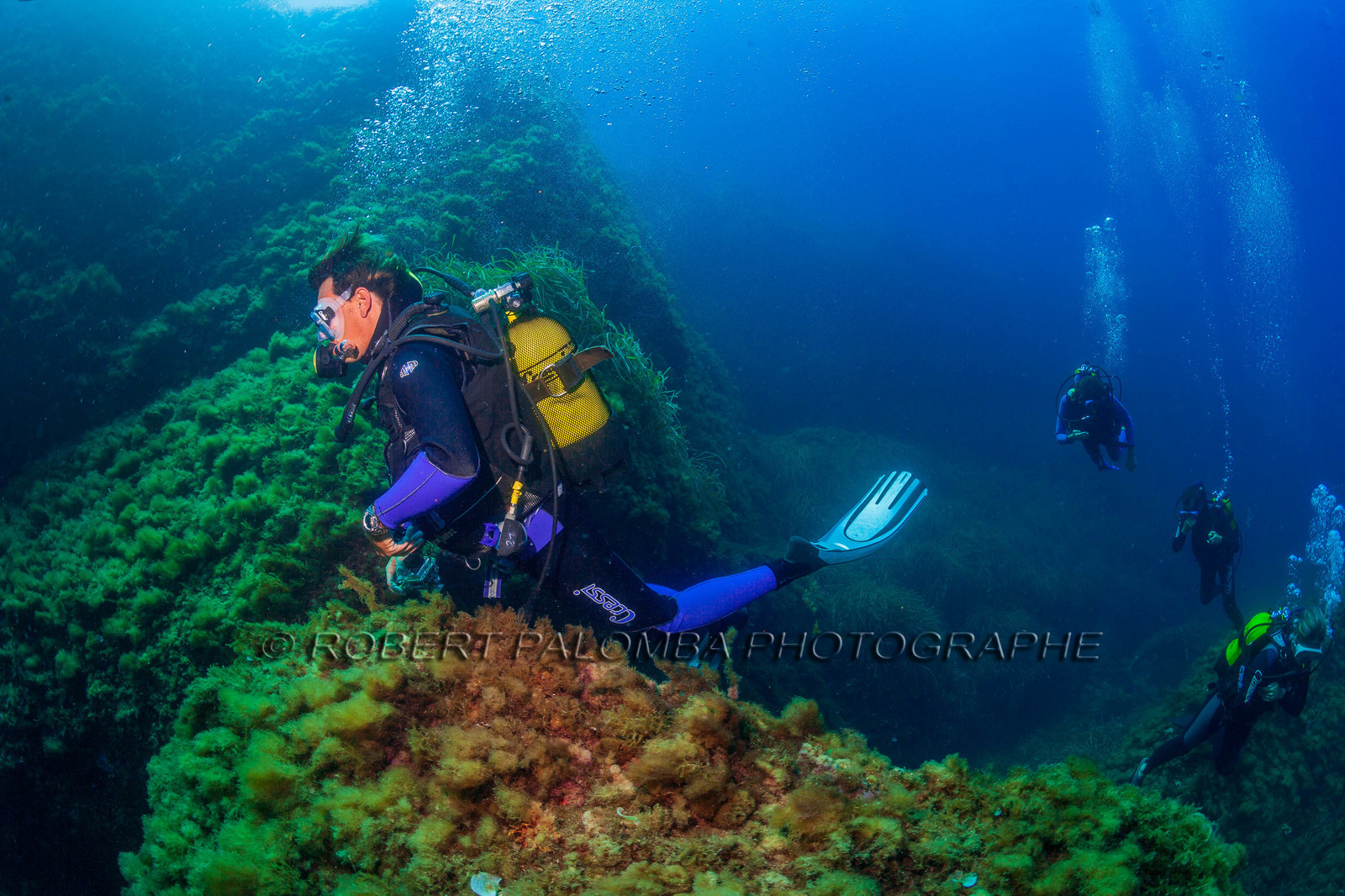 Plongée-sous-marine