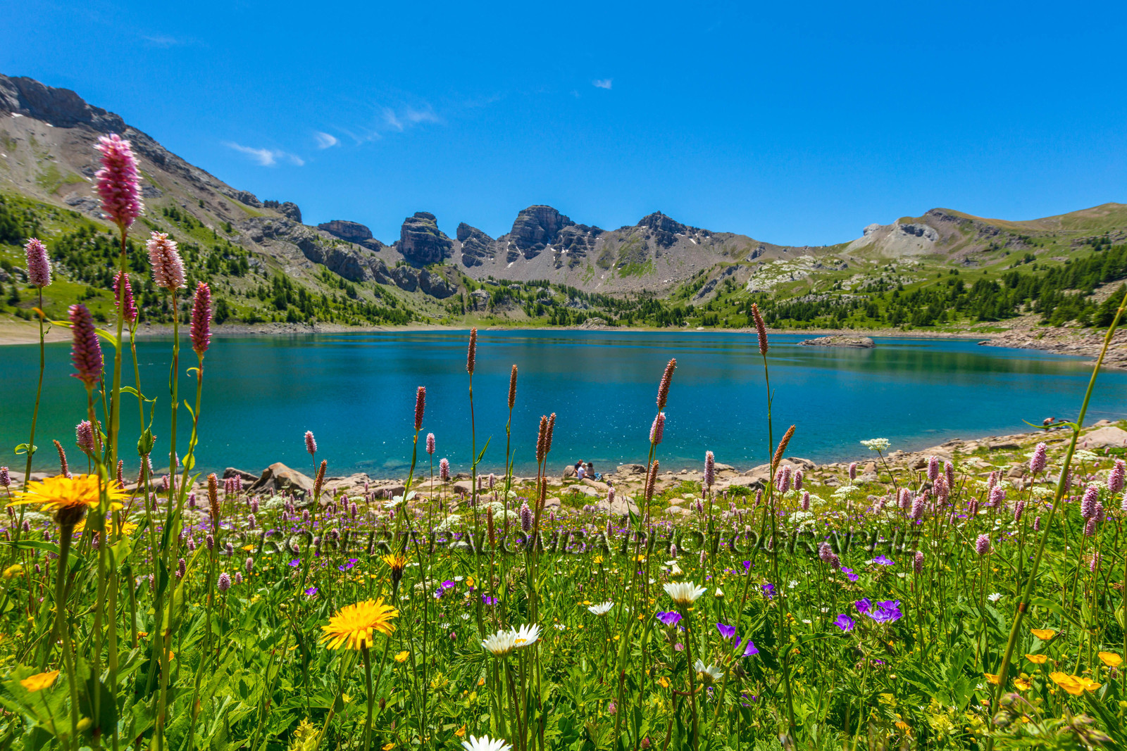 Lac d'Allos